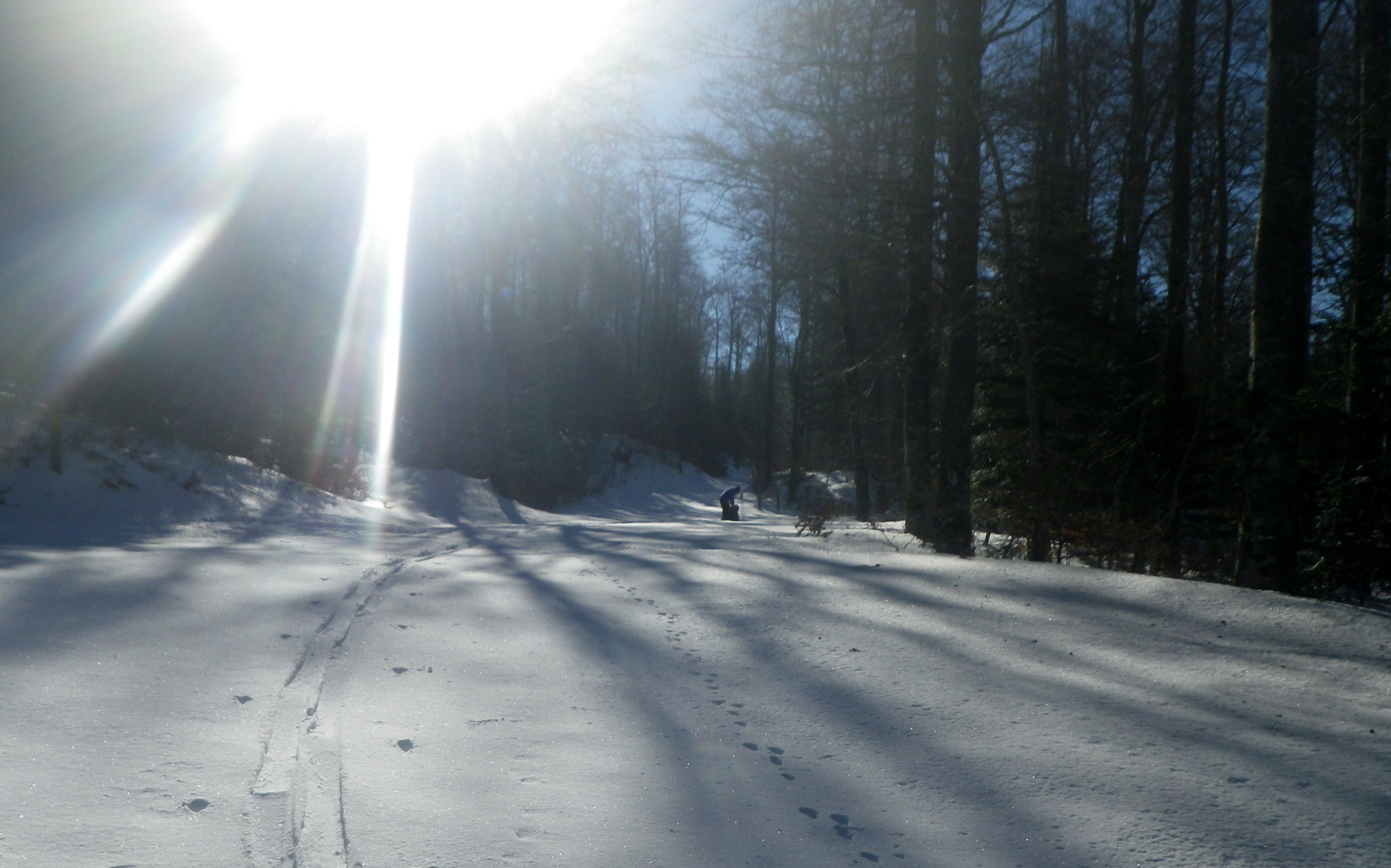 0_1511012724516_ambel_012w.JPG