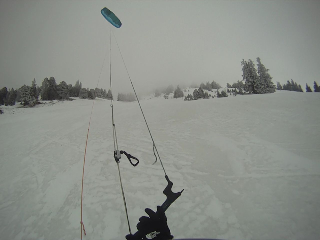 VideoCapture_20220409-160631.jpg