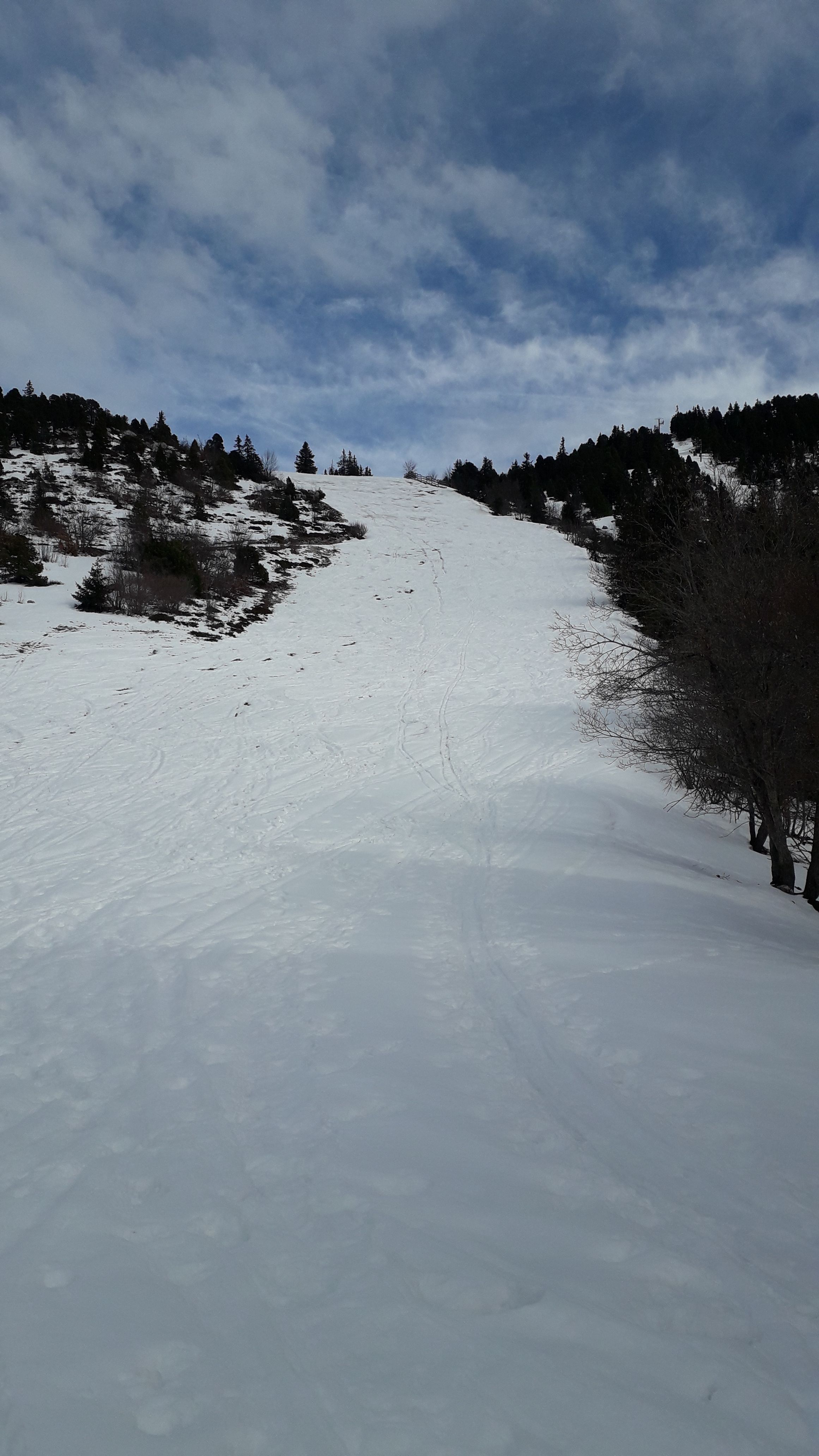 20220406_173706.jpg