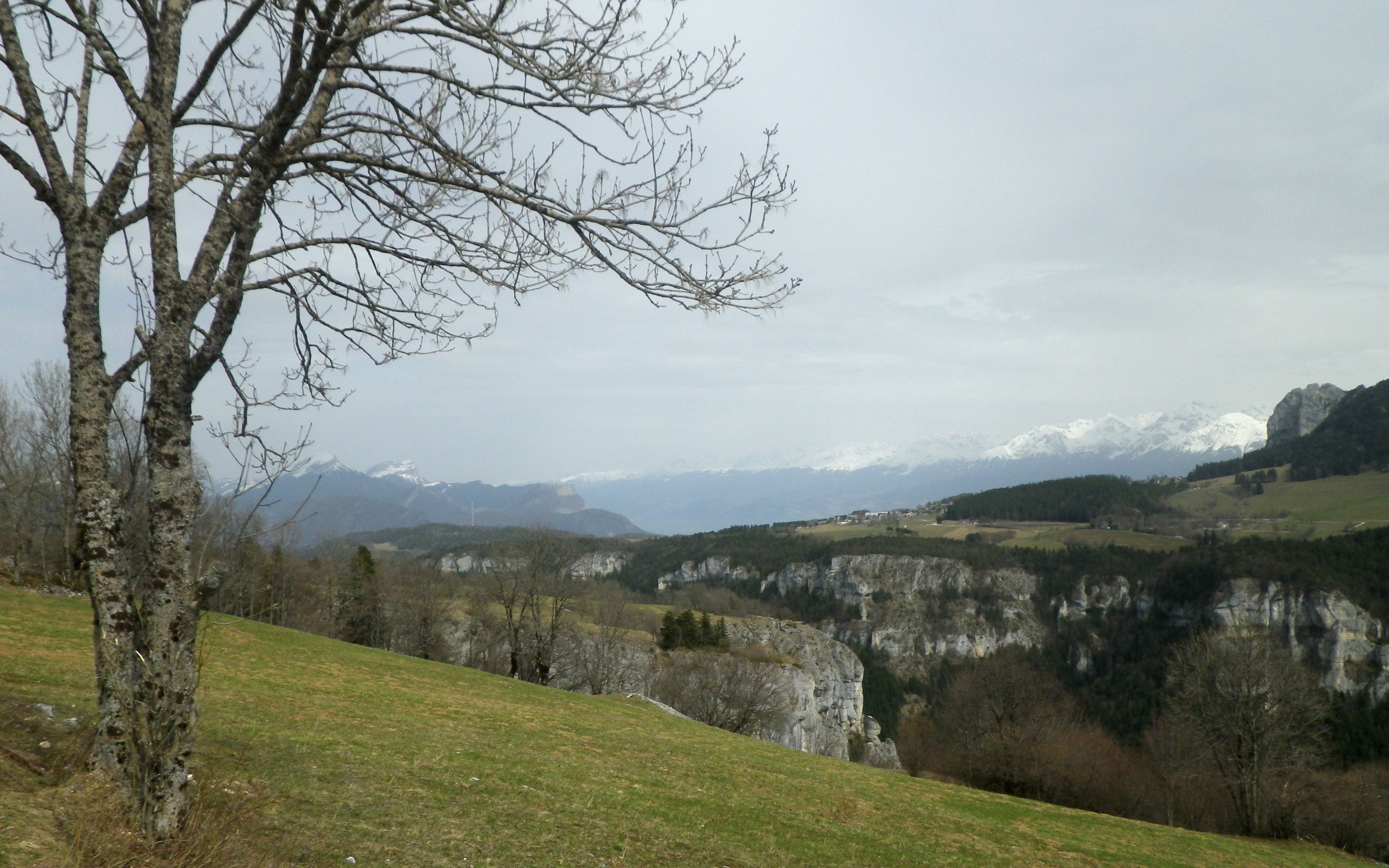 1_1523210150493_moliere_009w.JPG