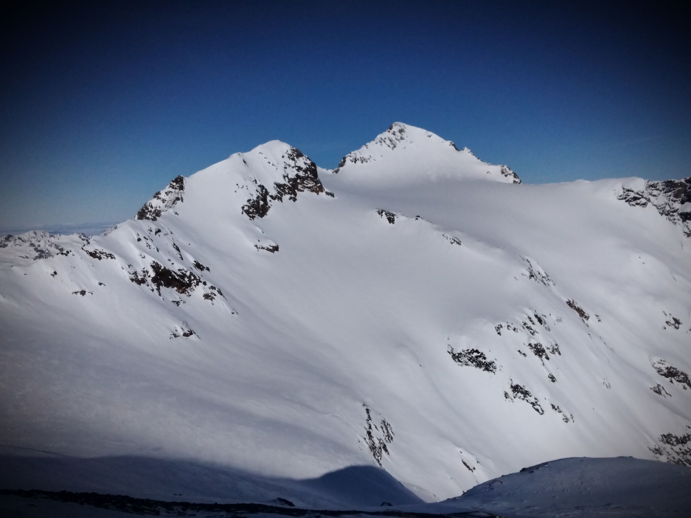 IMG_20220112_131529.jpg