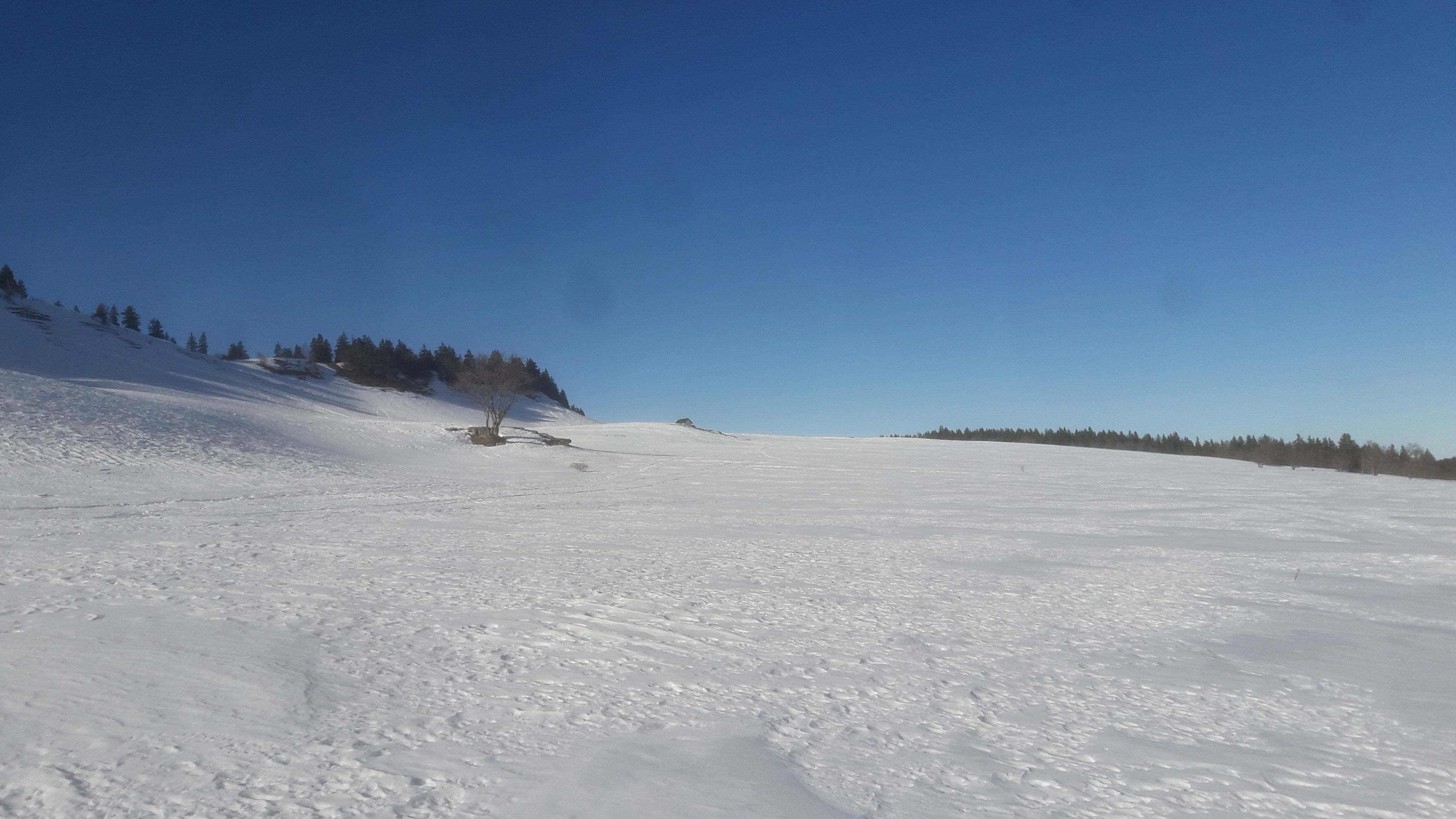 20220126_145442.jpg