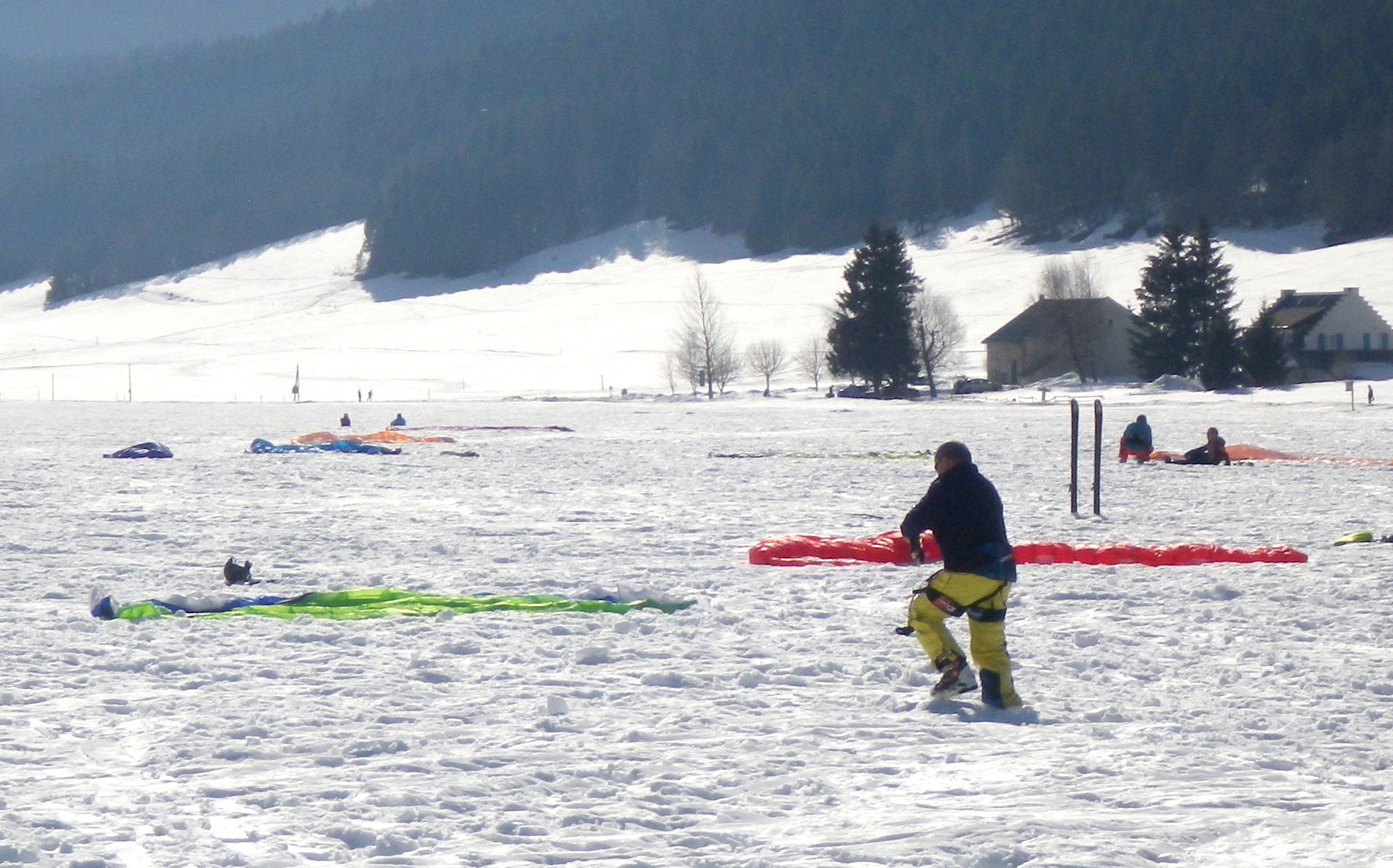 petole_007w.JPG