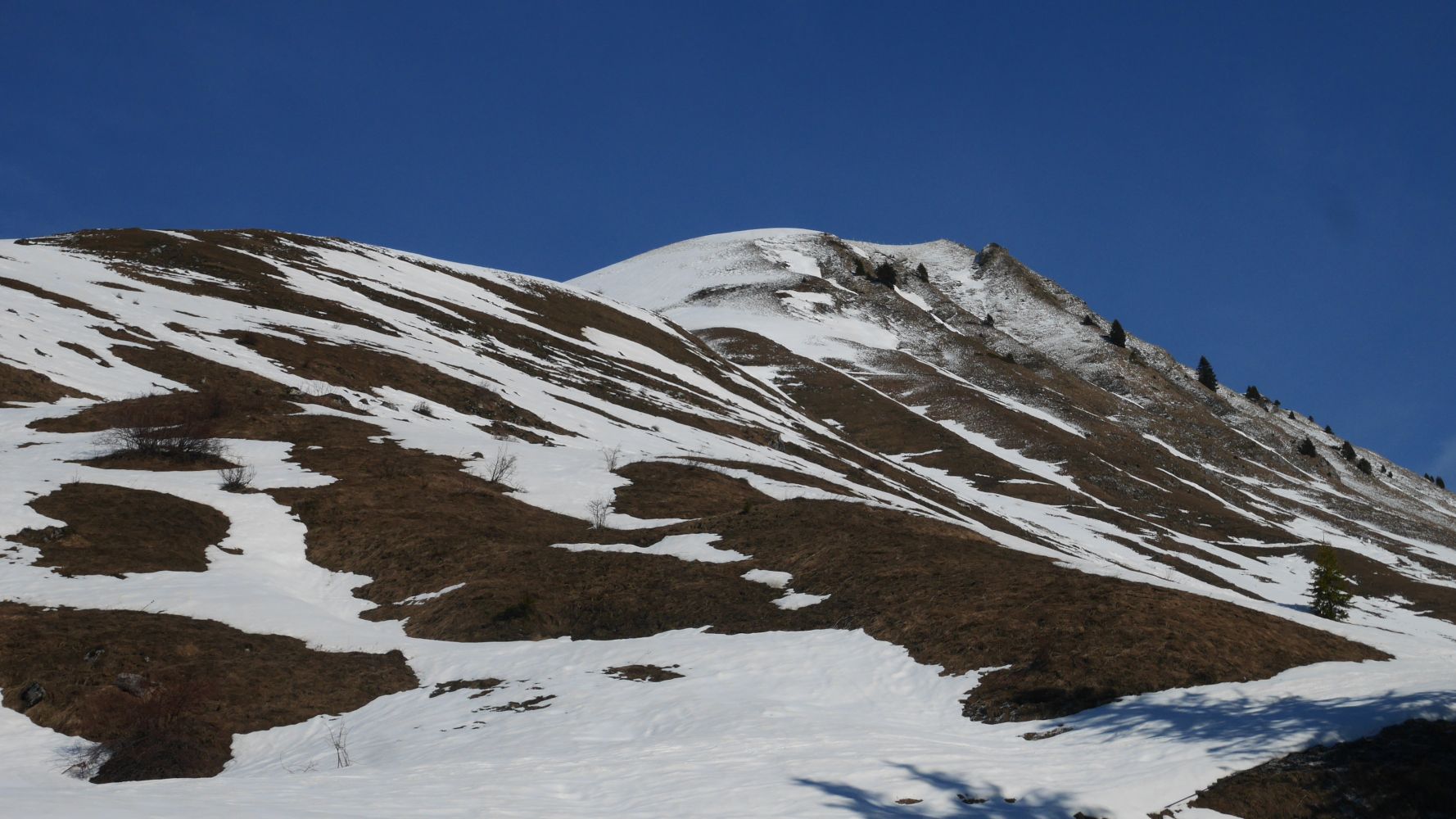 P1050874.JPG