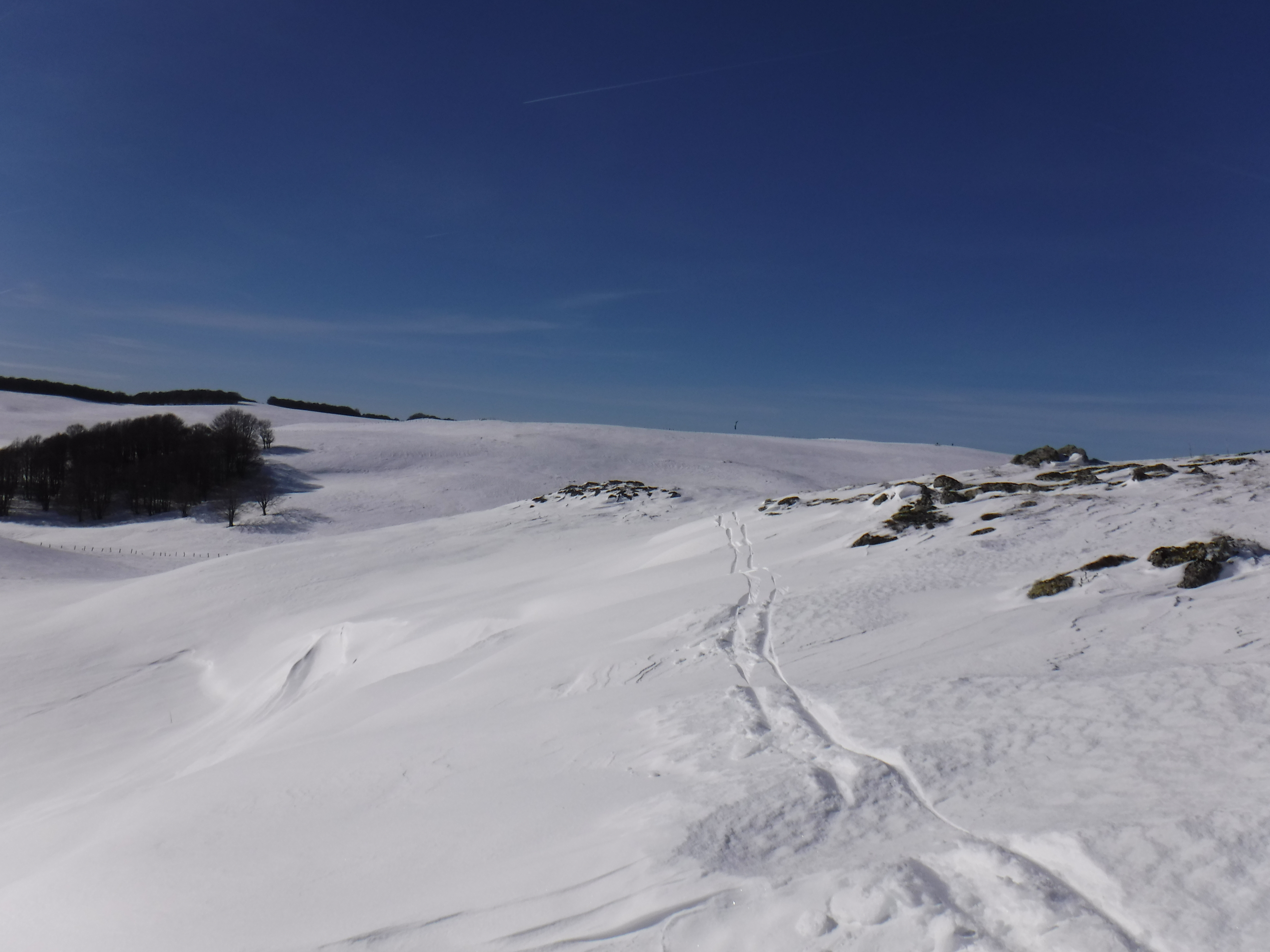 DSCF3217.JPG