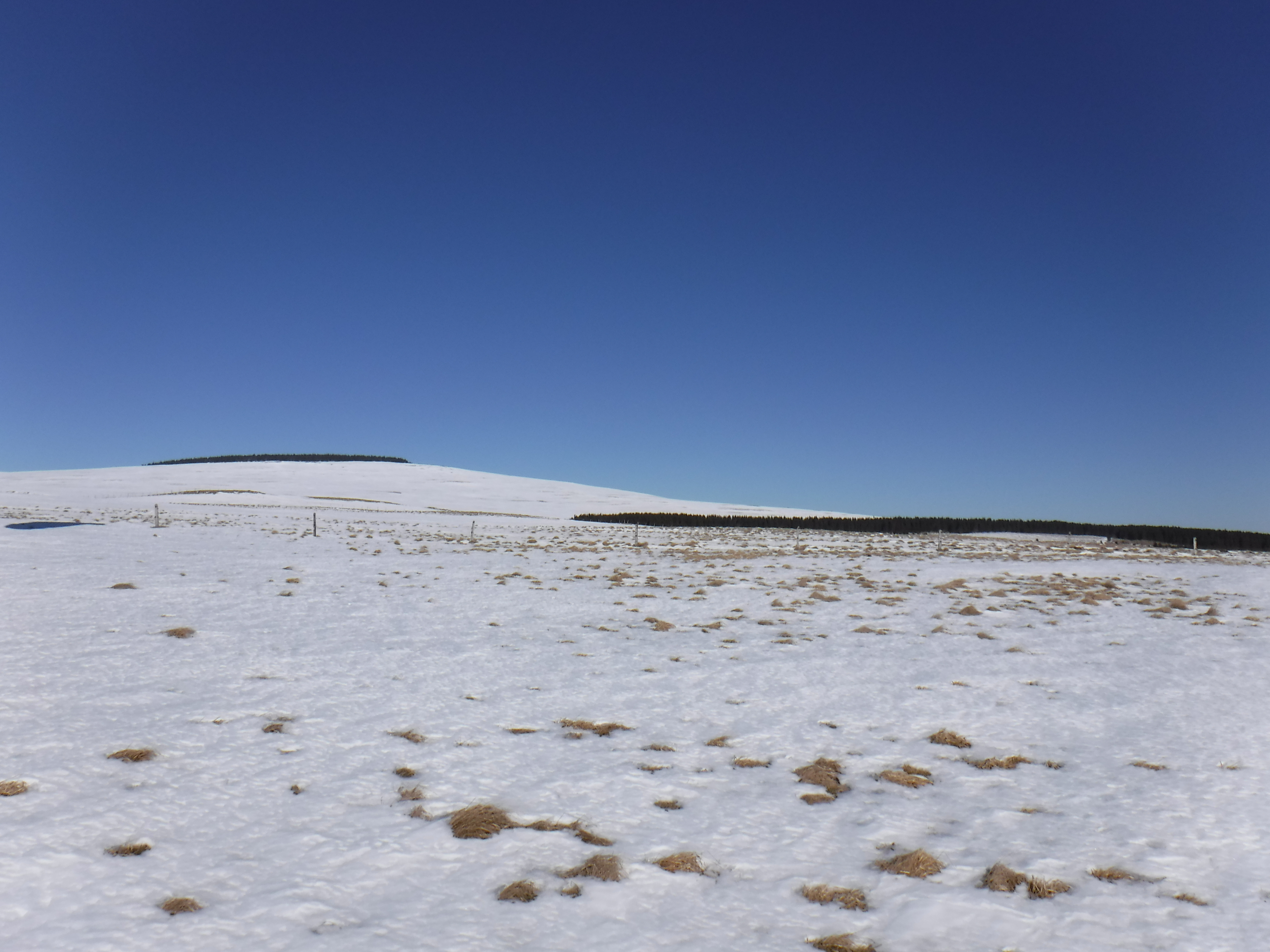 DSCF3330.JPG
