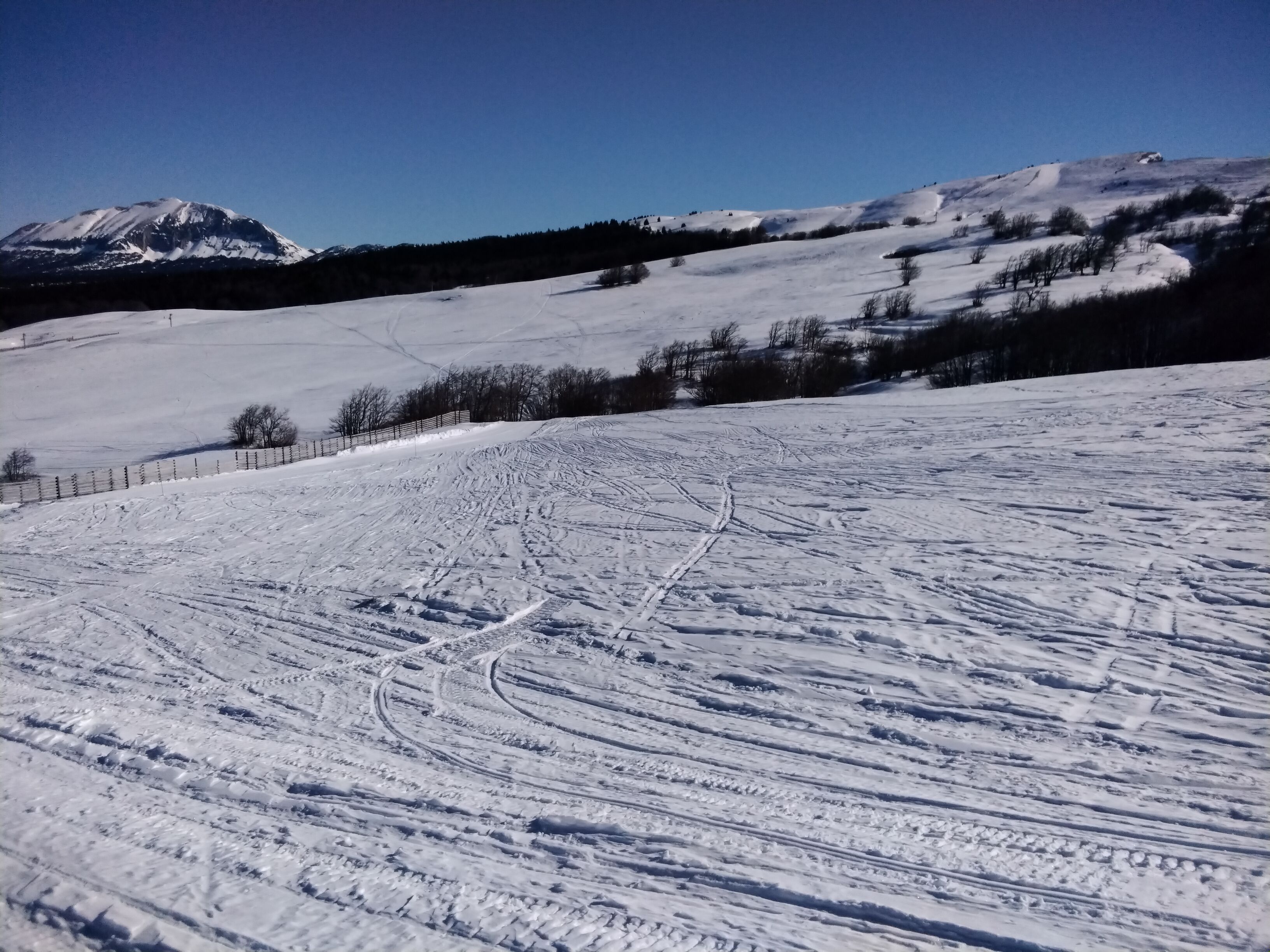 IMG_20220125_115805.jpg