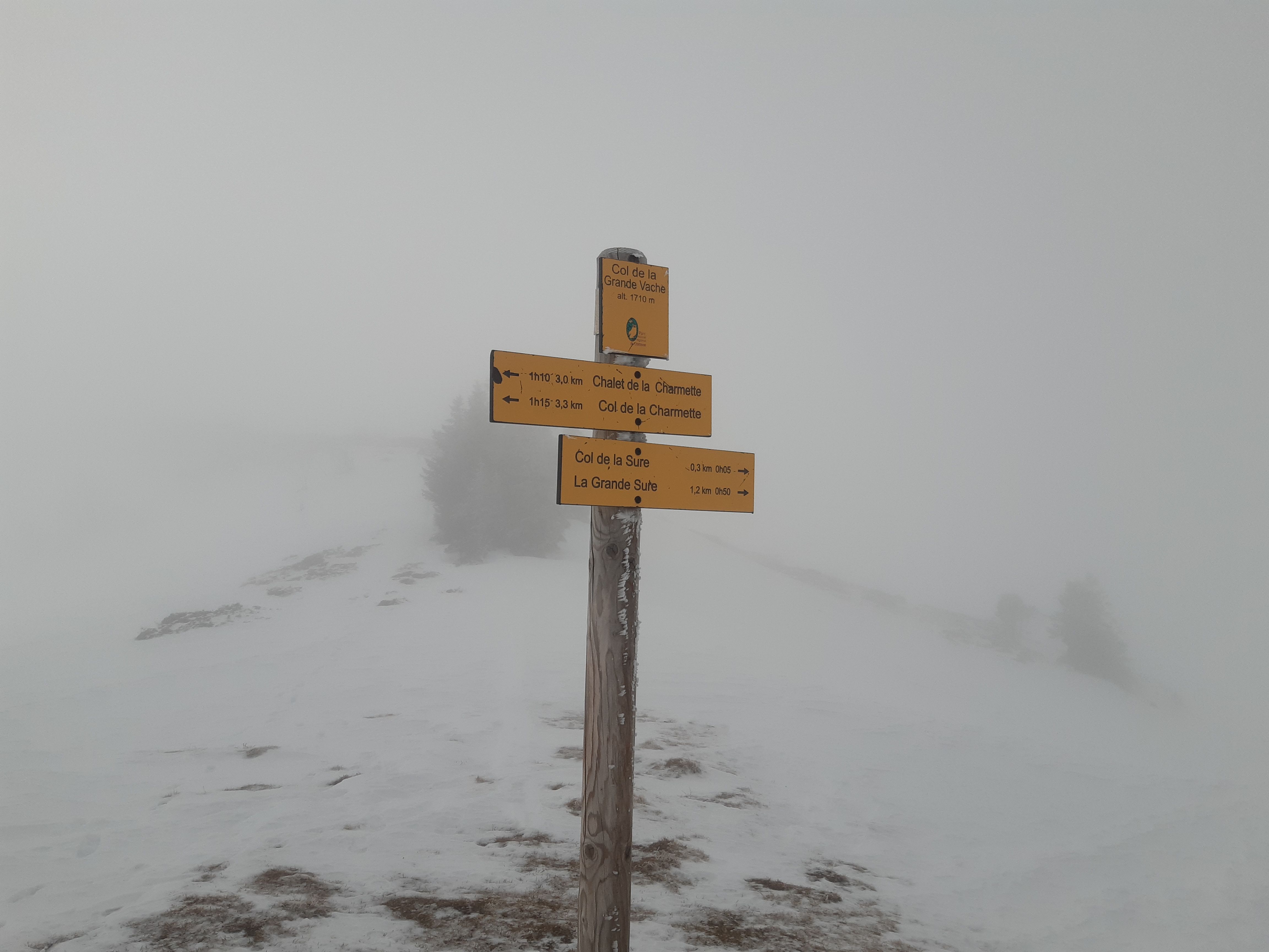 20220130_115920.jpg