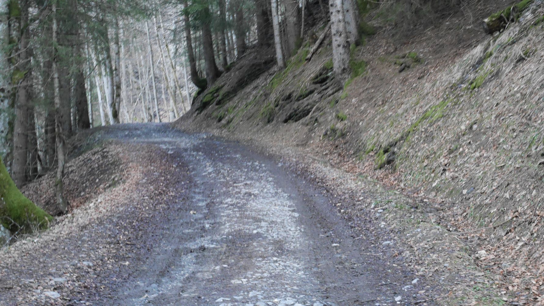 P1050863.JPG