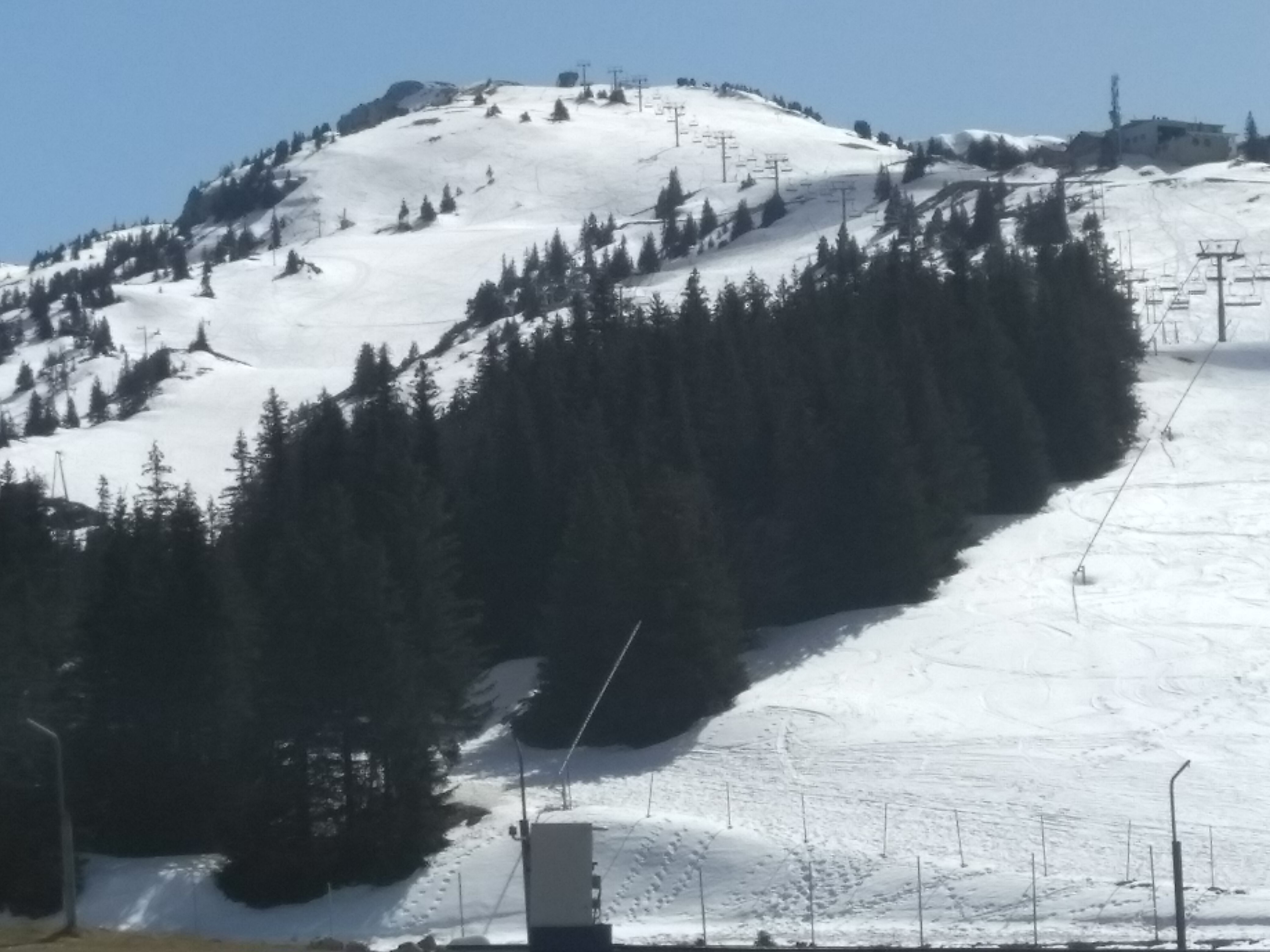 IMG_20210401_151913.jpg