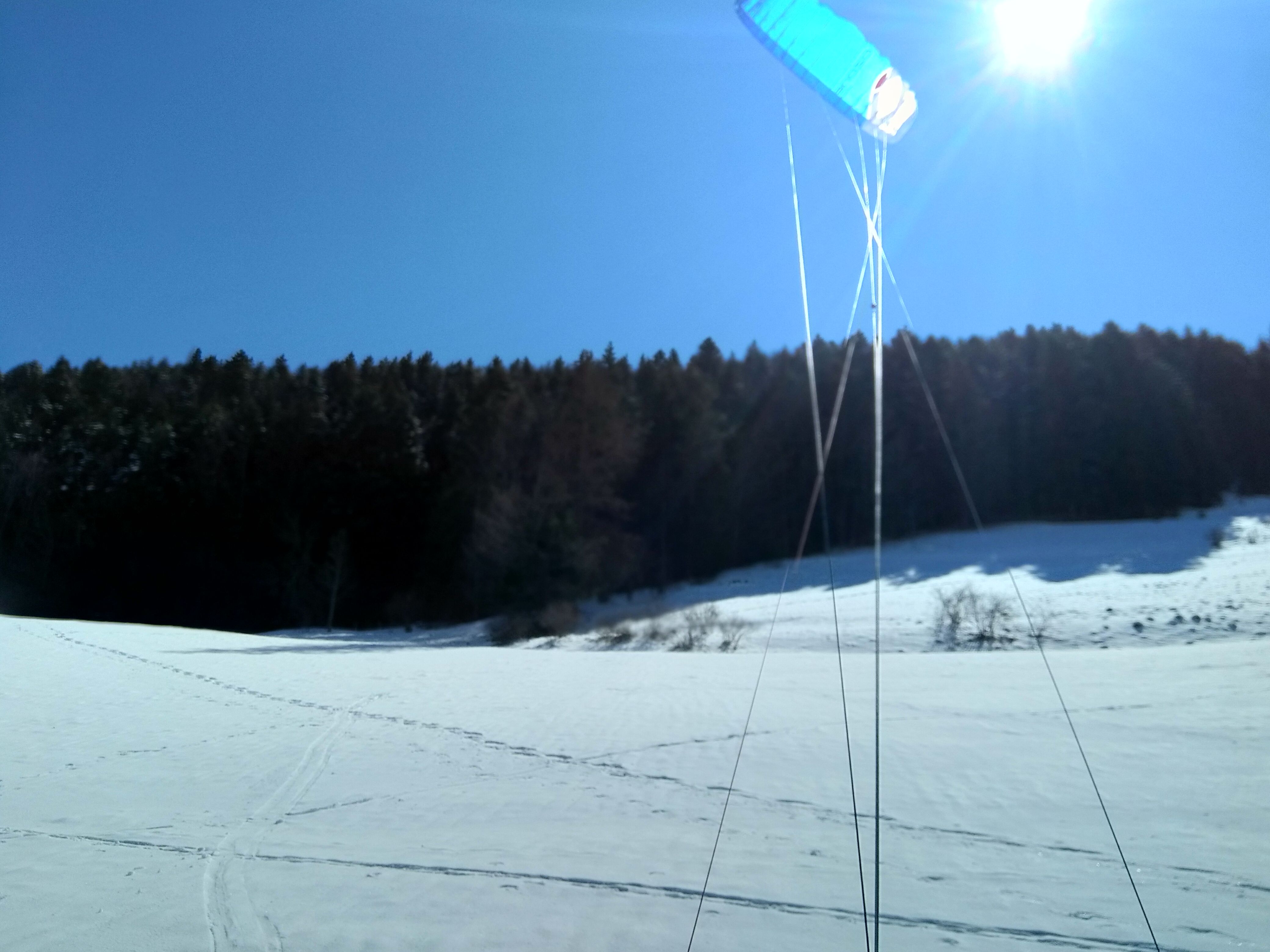 IMG_20210321_115529.jpg