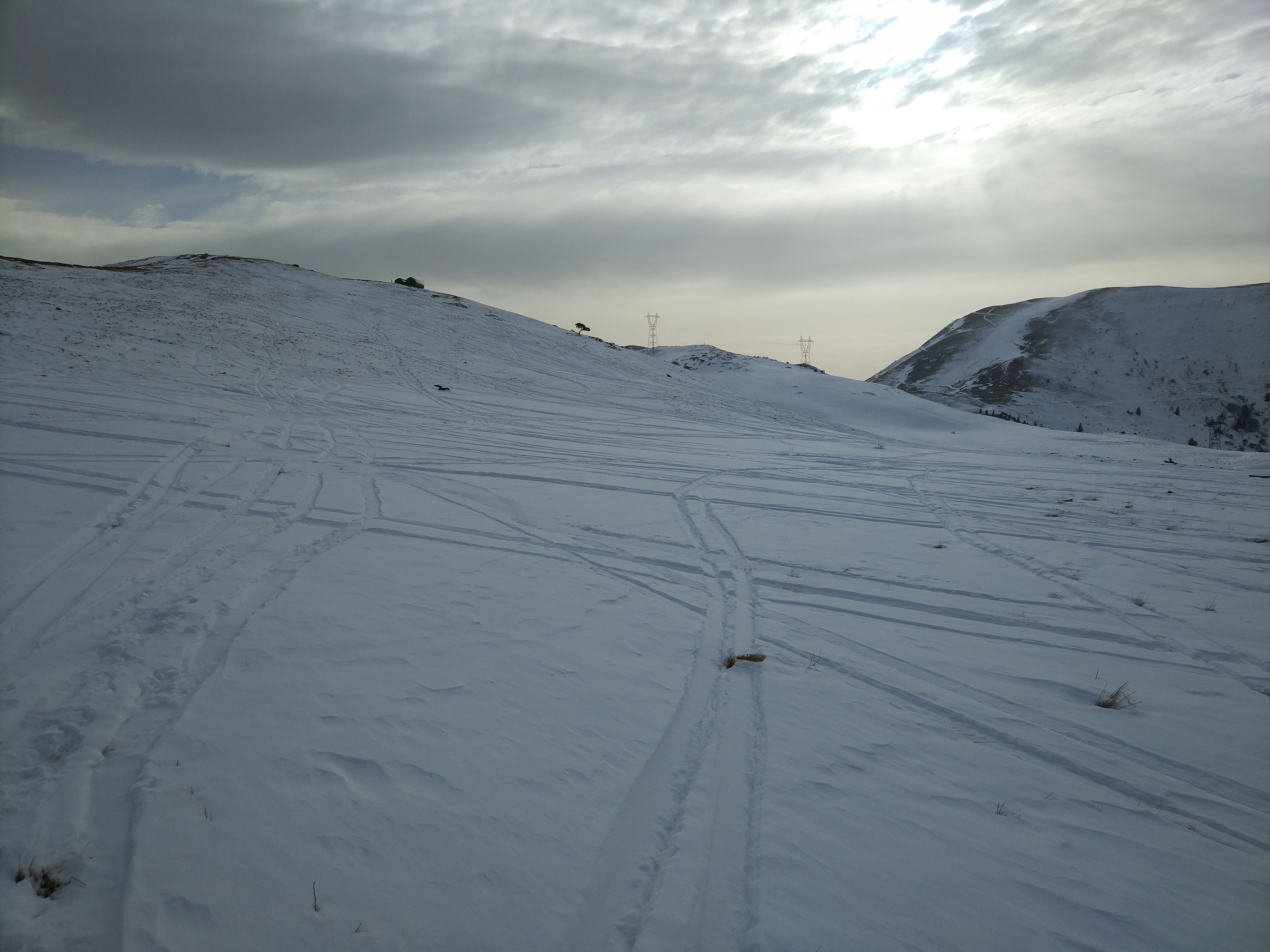 IMG_20200123_145149.jpg