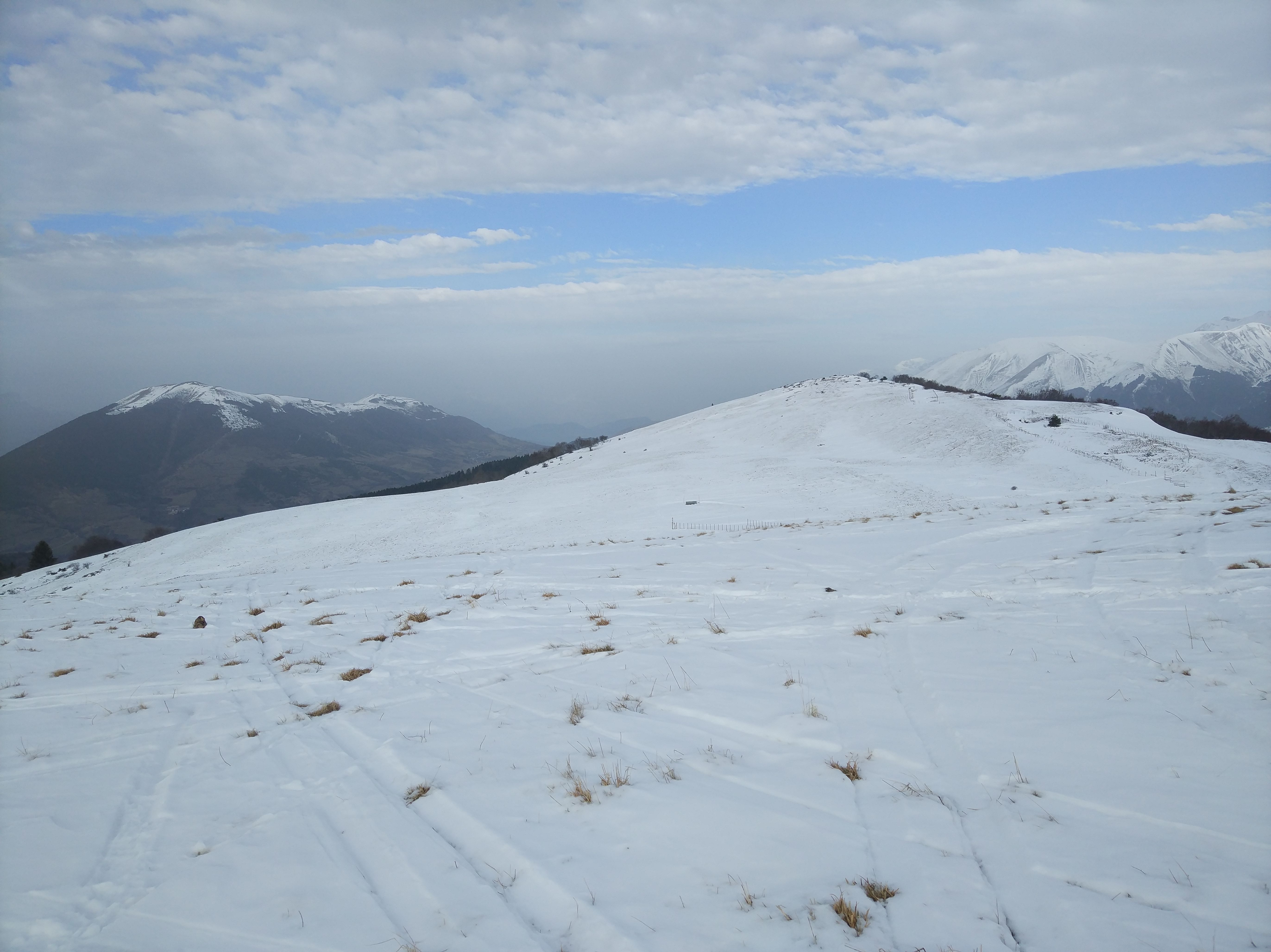 IMG_20200123_145153.jpg