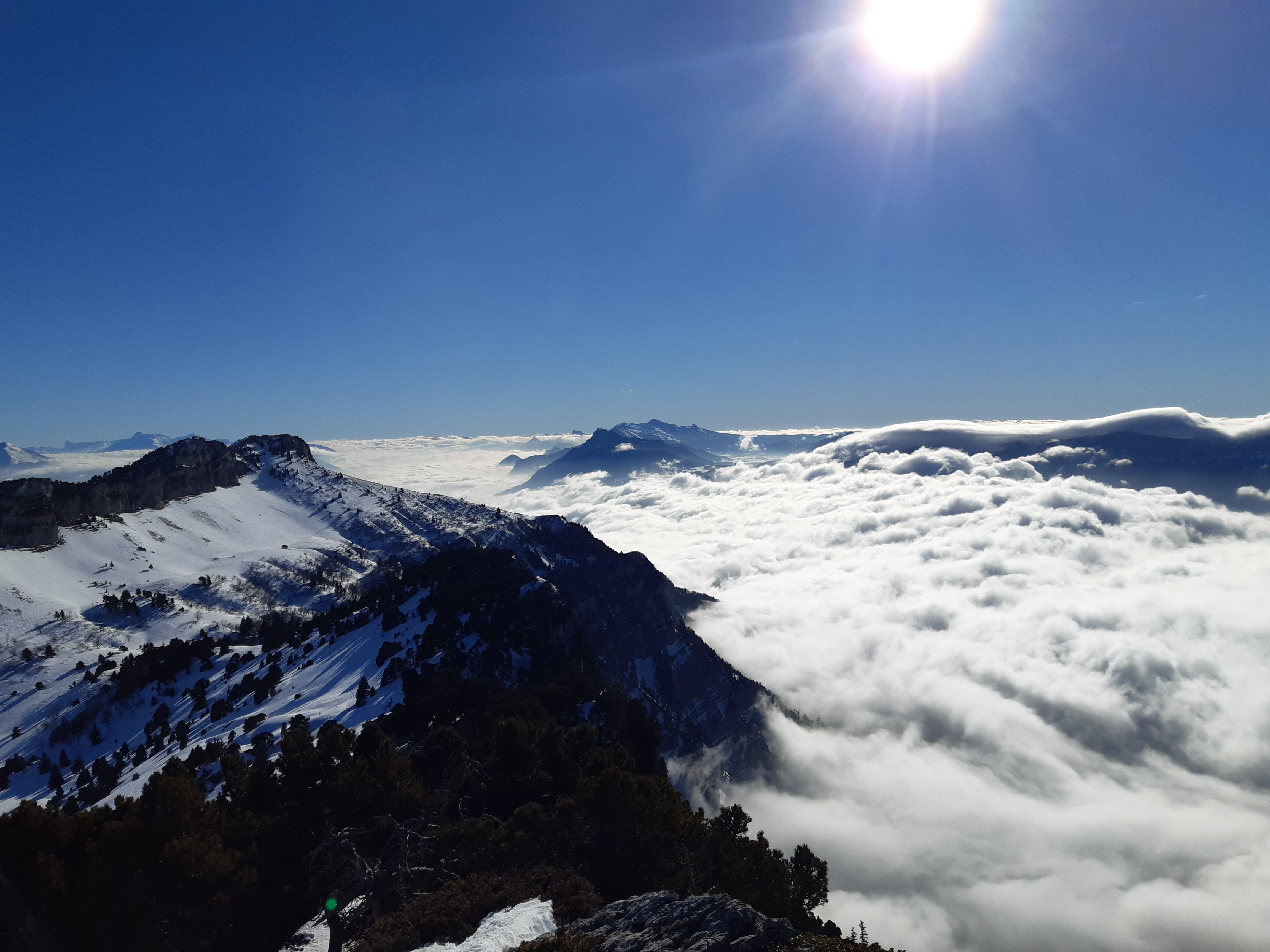 20220130_145612.jpg