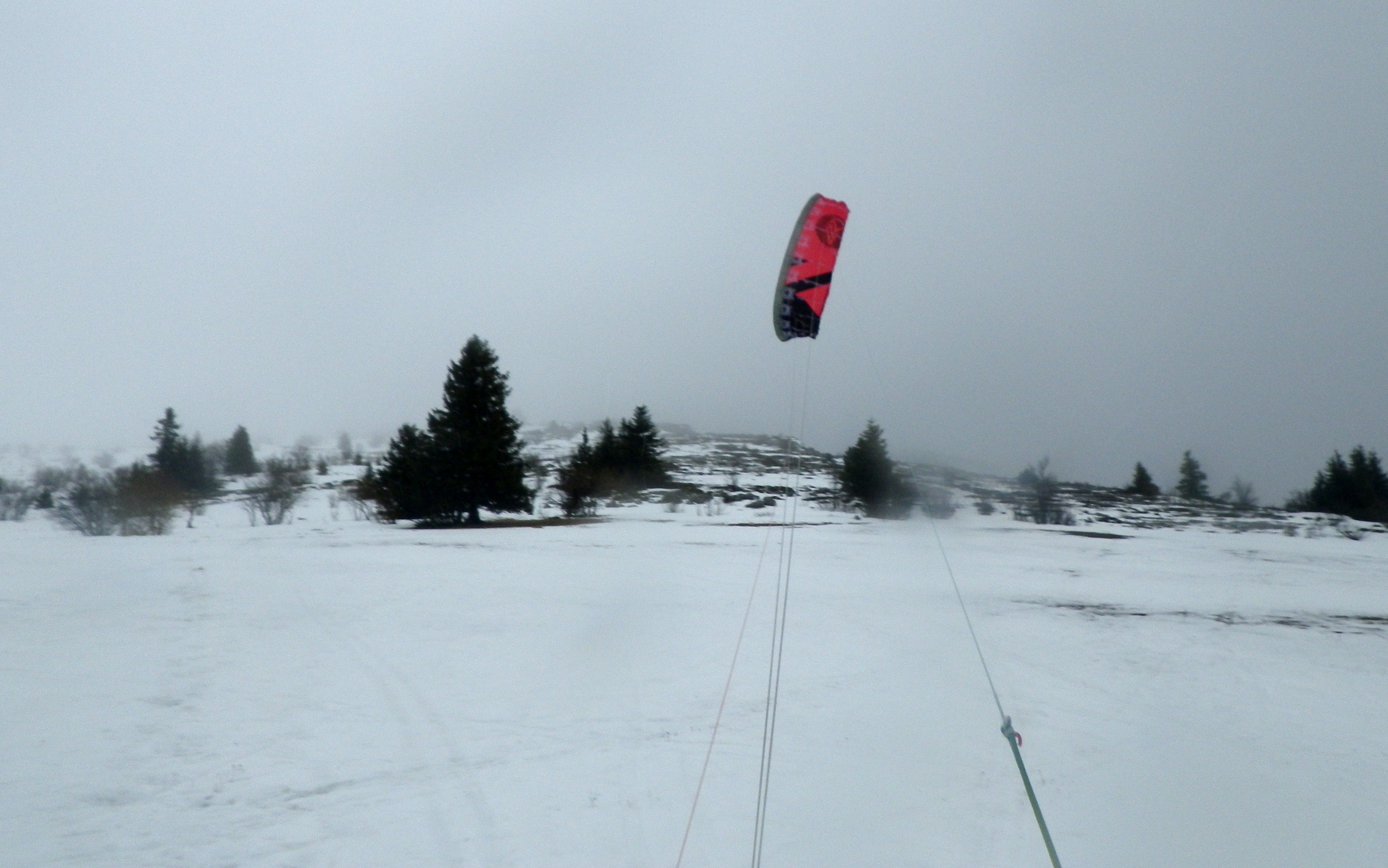 kite_ramees_019w.JPG