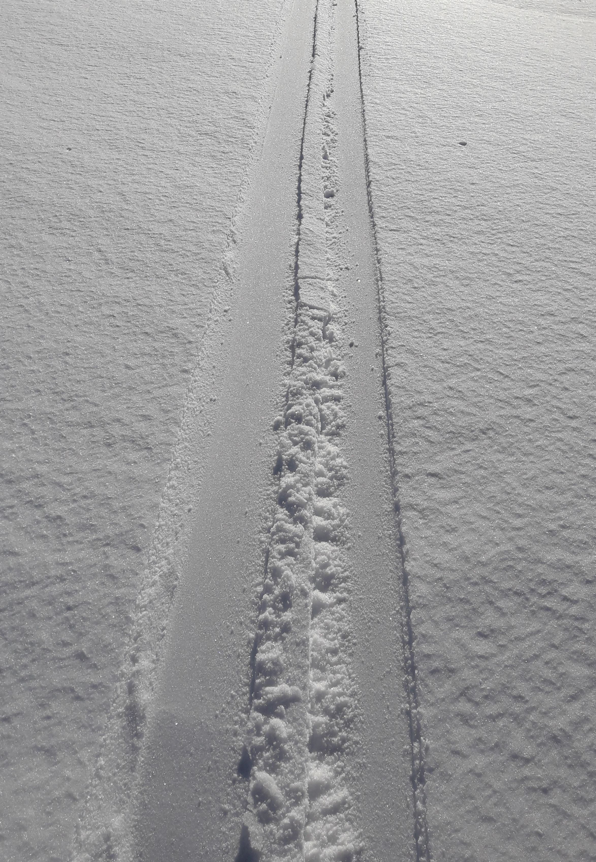 20200112_135242.jpg