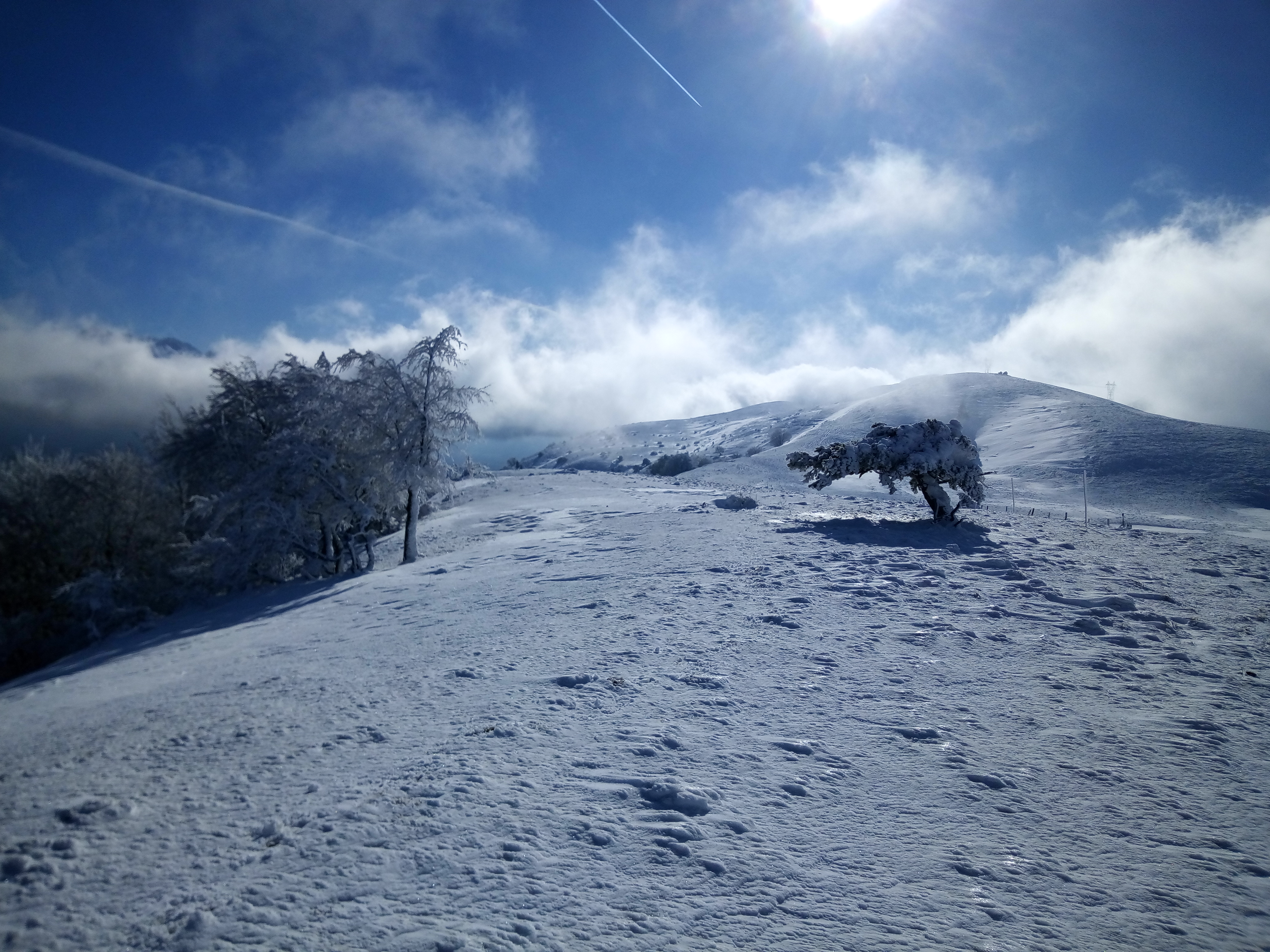 IMG_20190115_134748.jpg