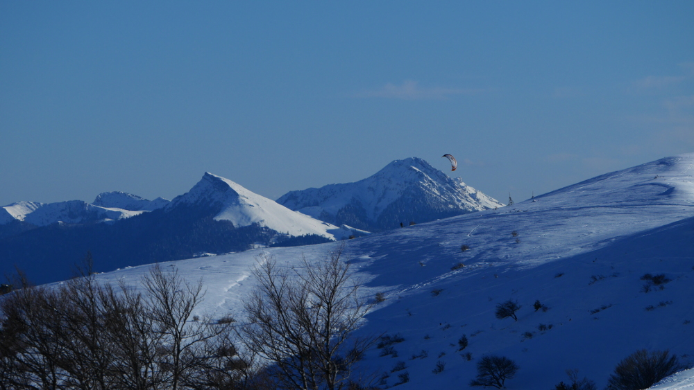 P1010078.JPG