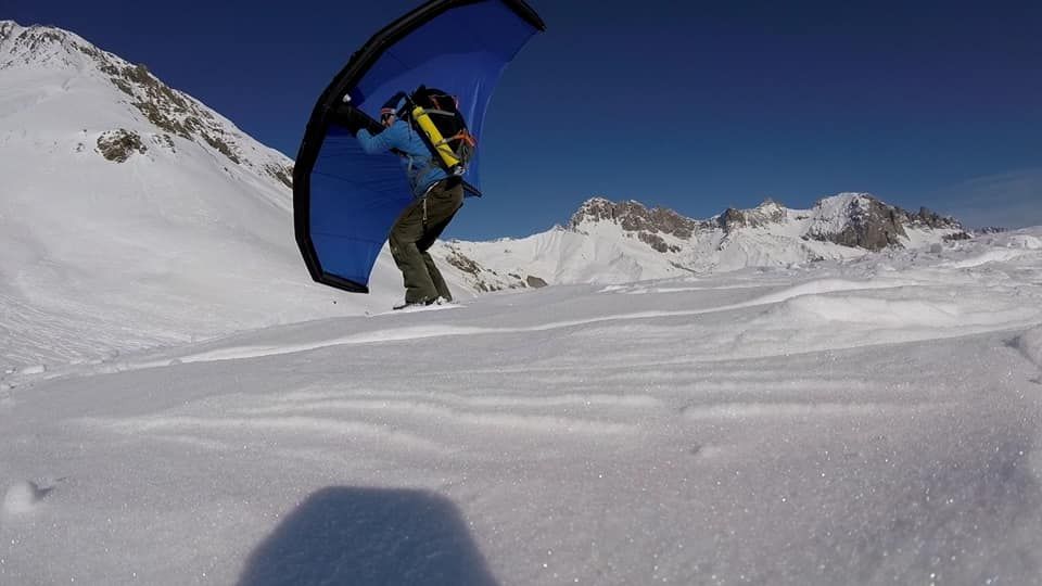 wing bleue.jpg