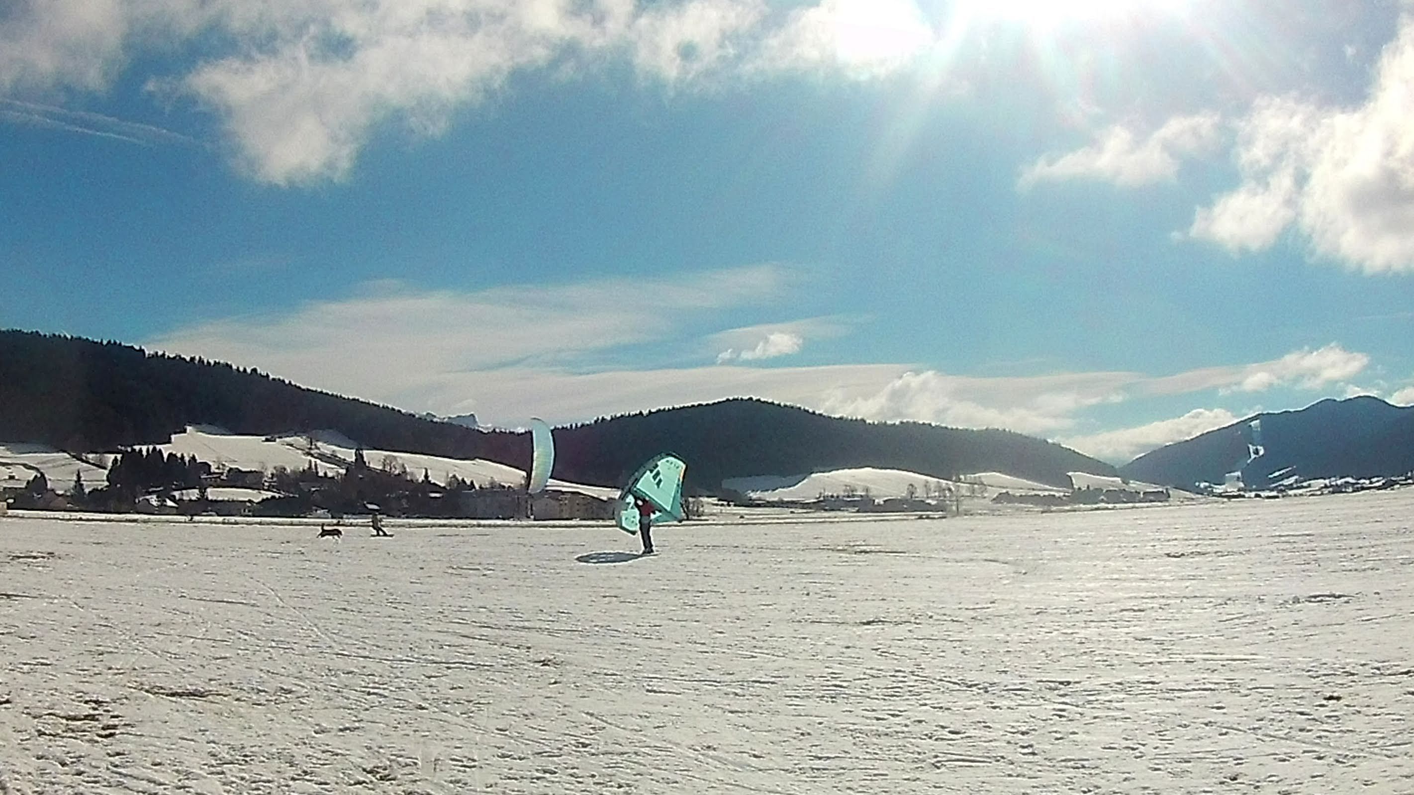 wing_002w.JPG