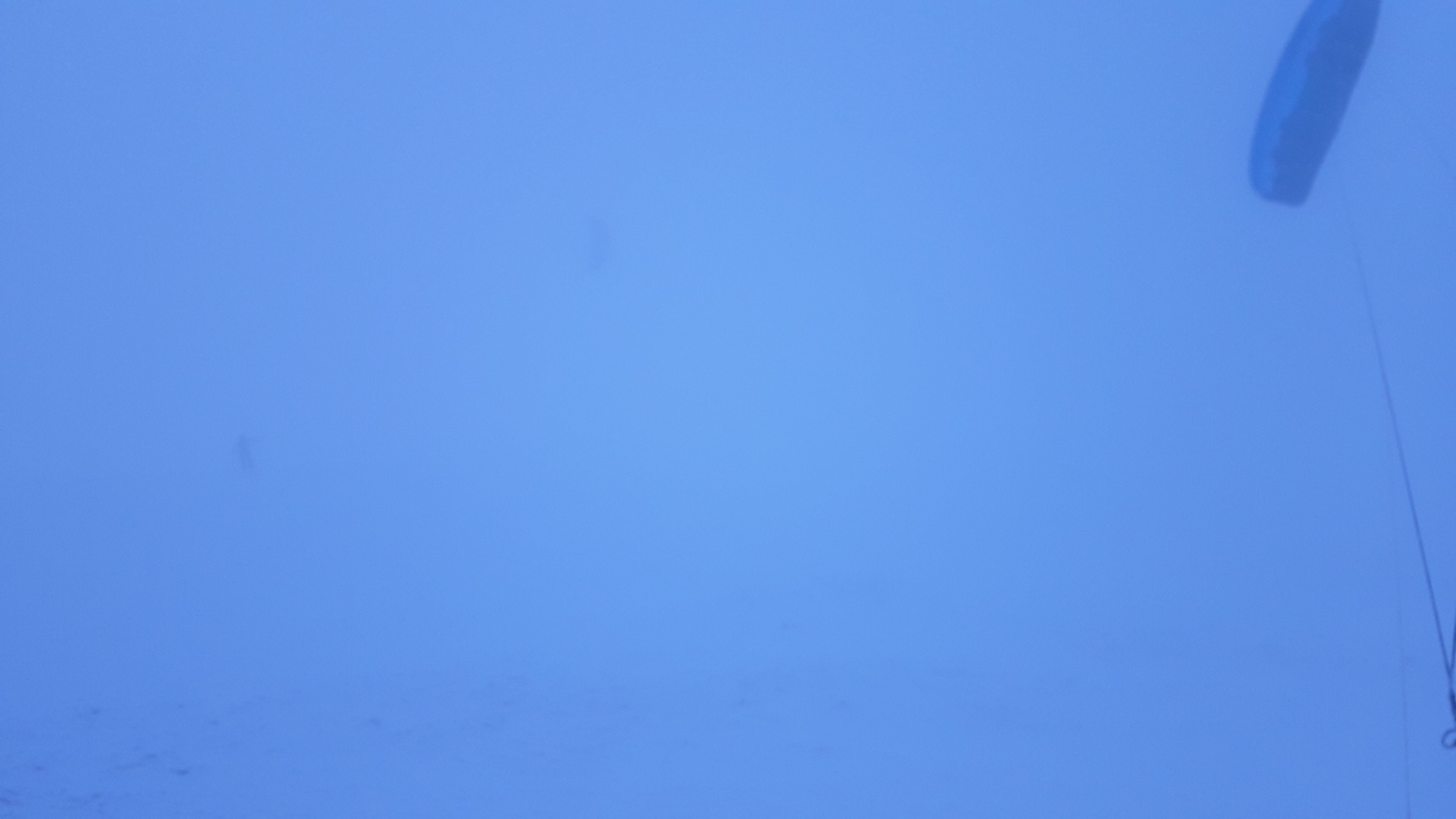 20220122_164230.jpg