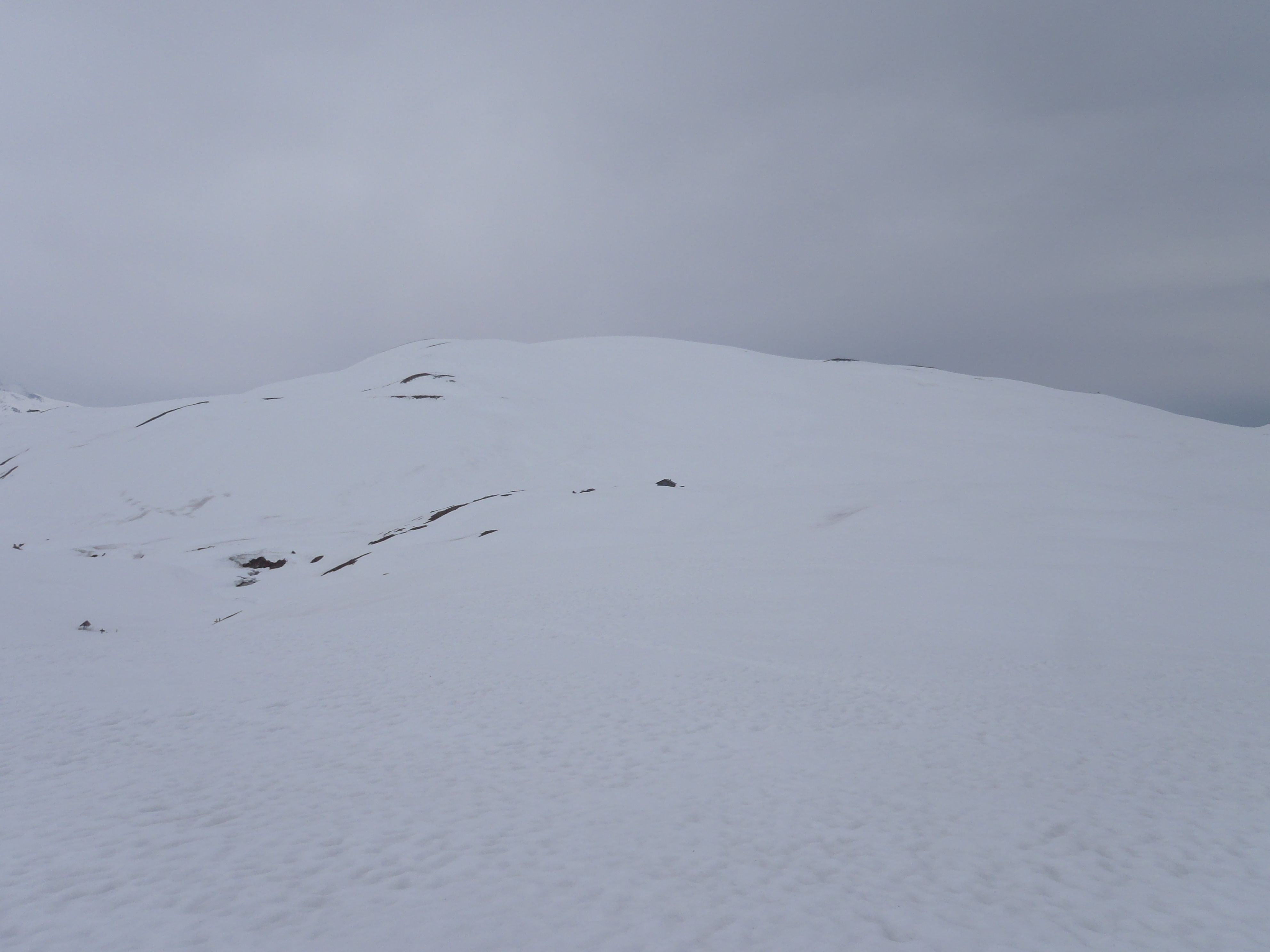 P4210151.JPG