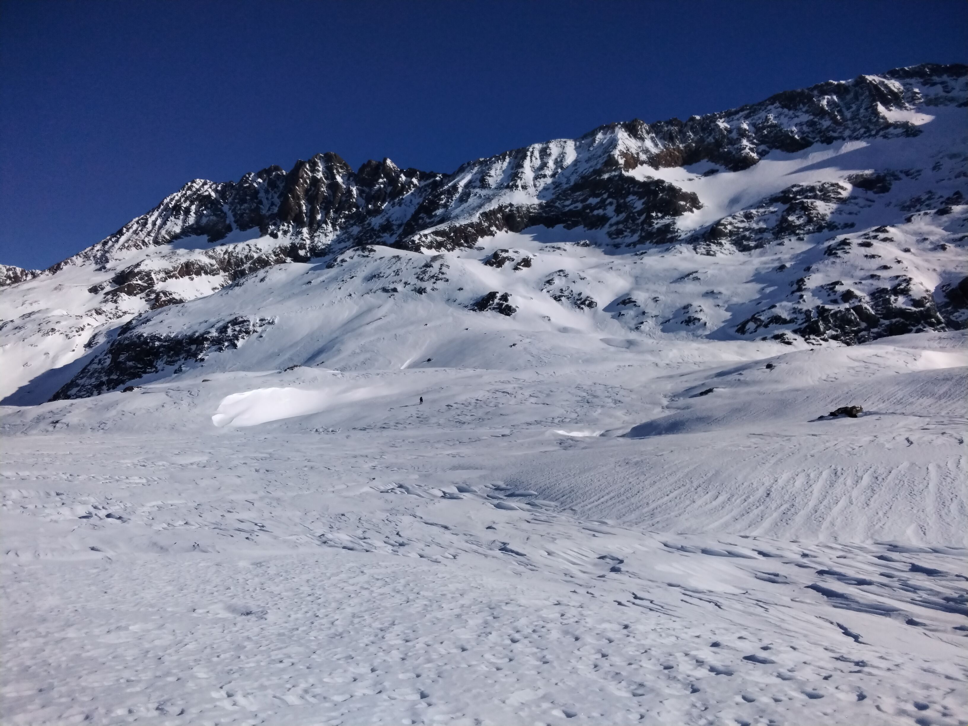 IMG_20220121_132344.jpg