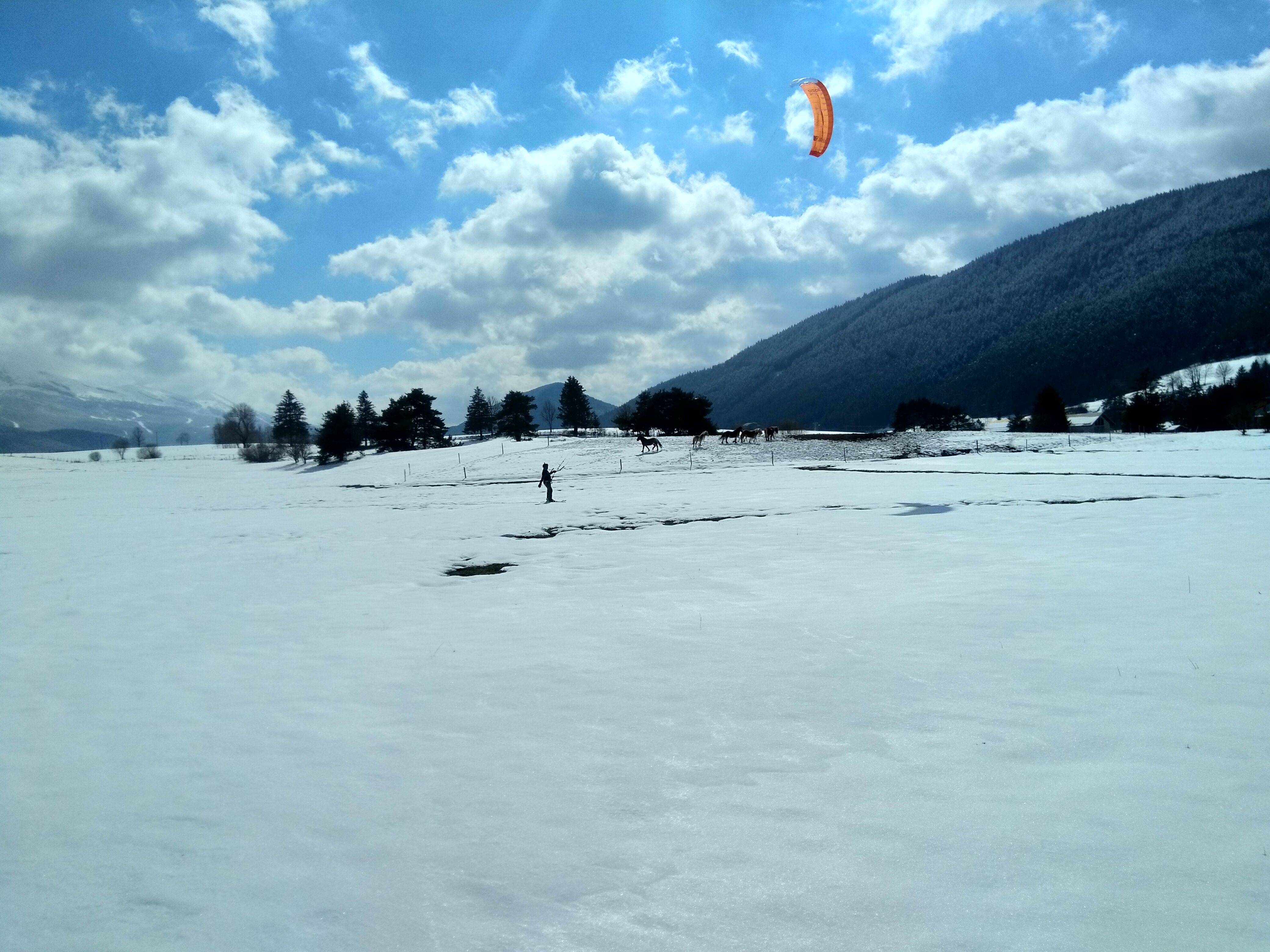 IMG_20210320_144408.jpg