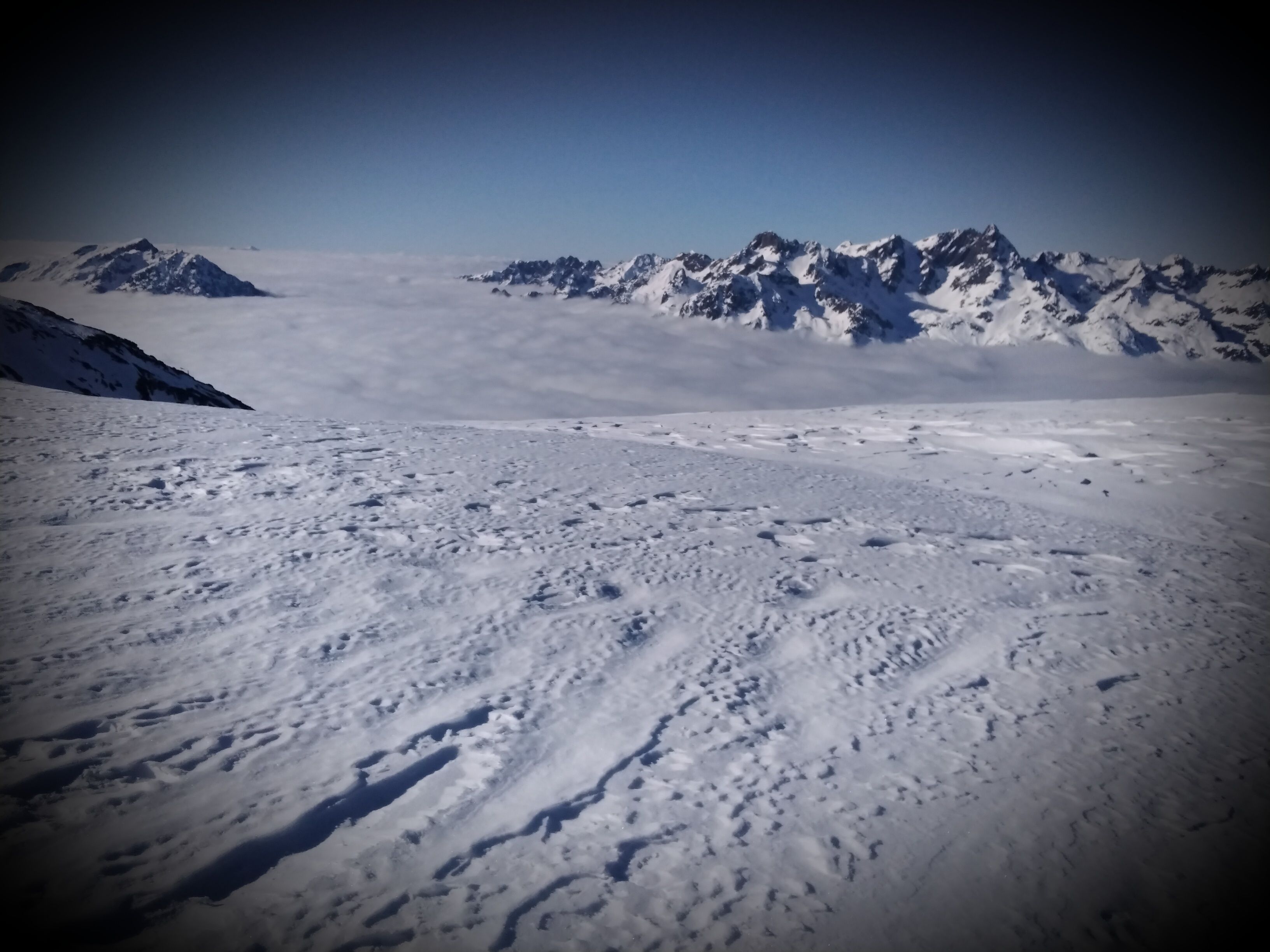 IMG_20220121_130346.jpg