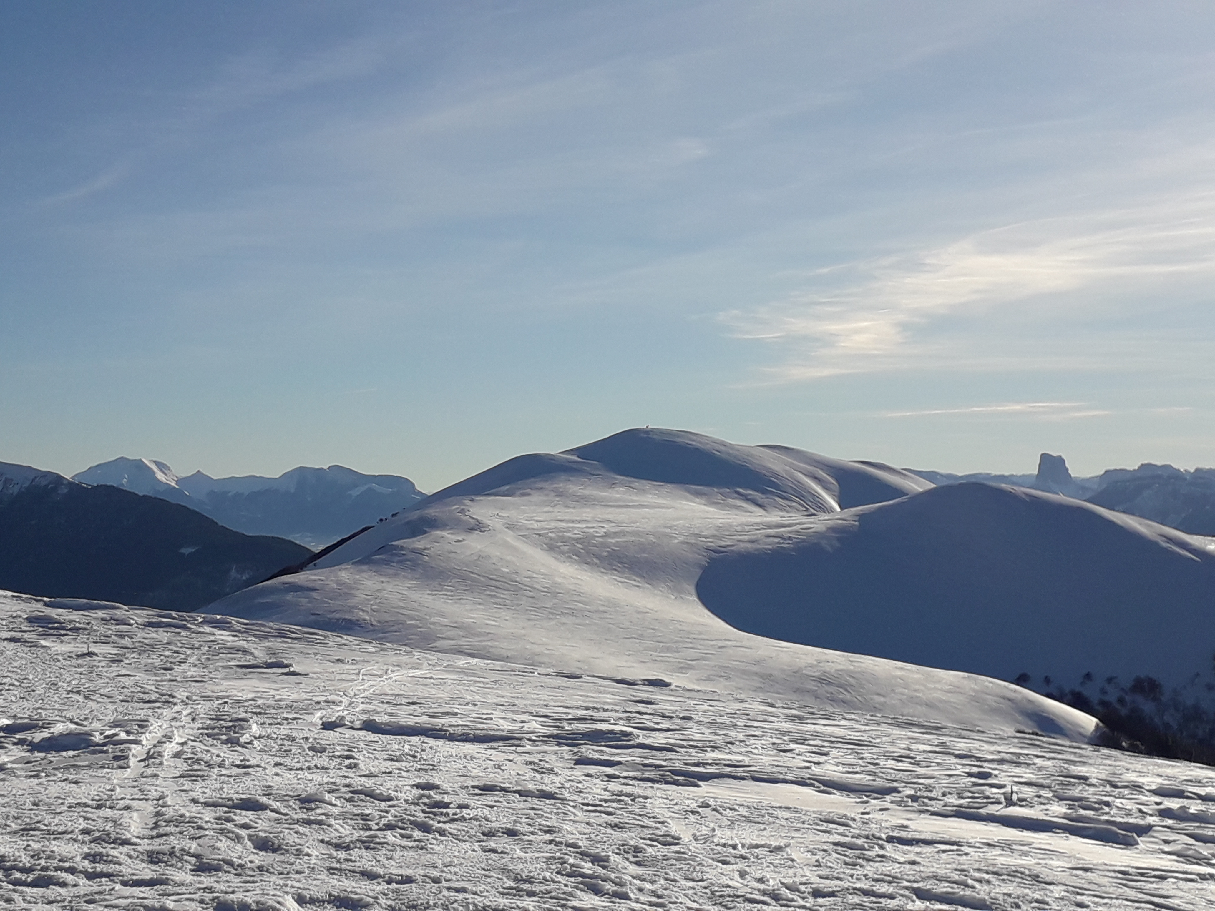 20190213_161604.jpg