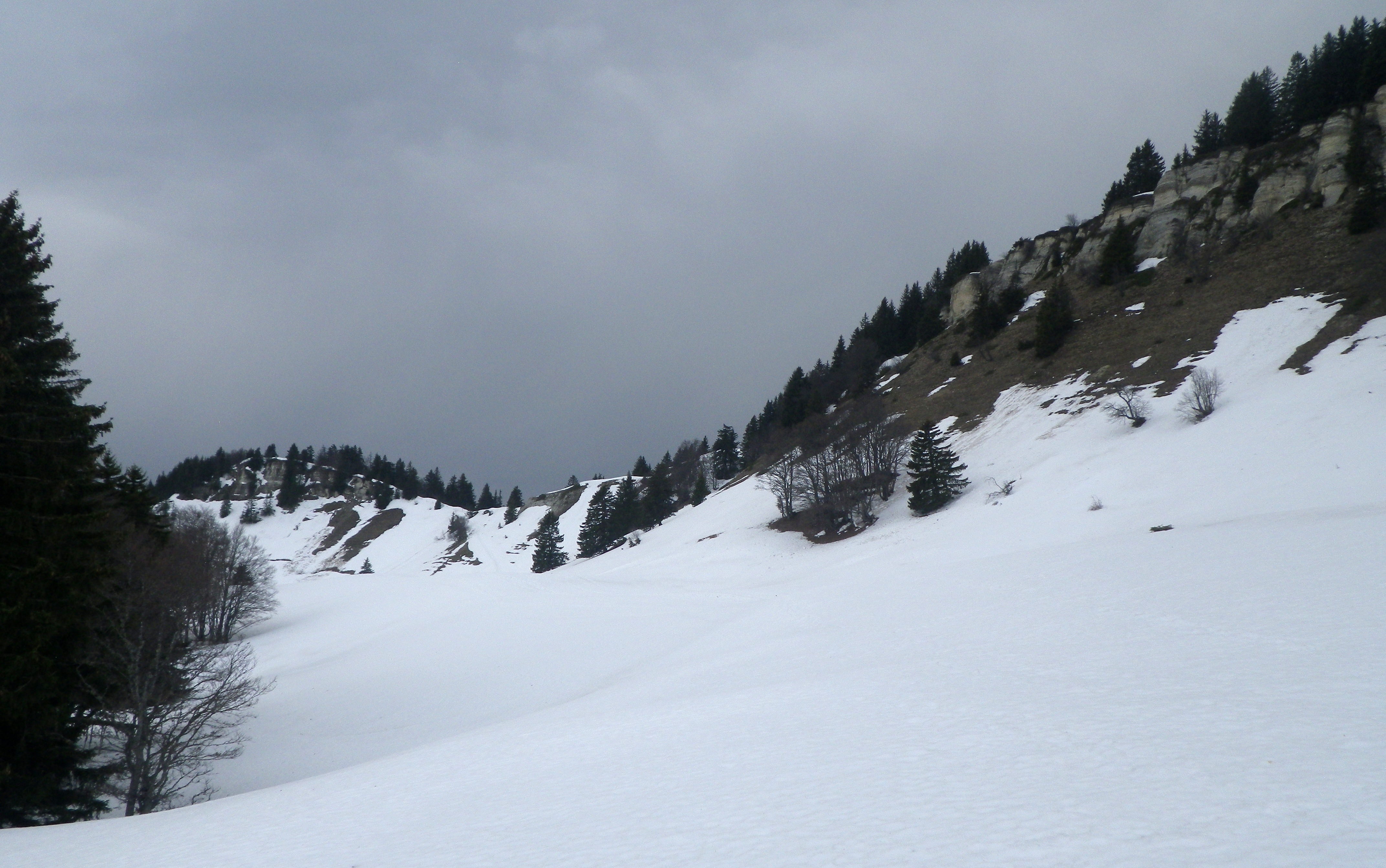 1_1523210203332_moliere_036w.JPG