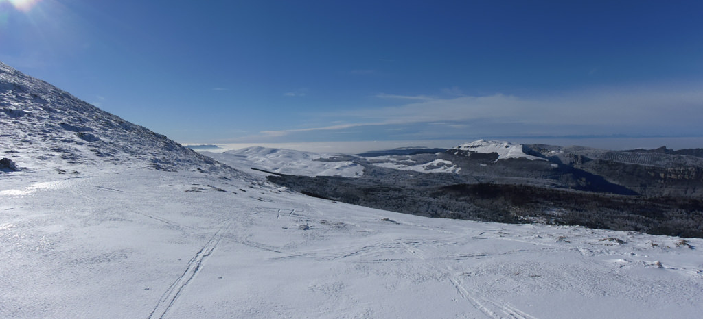 1000780-3.jpg