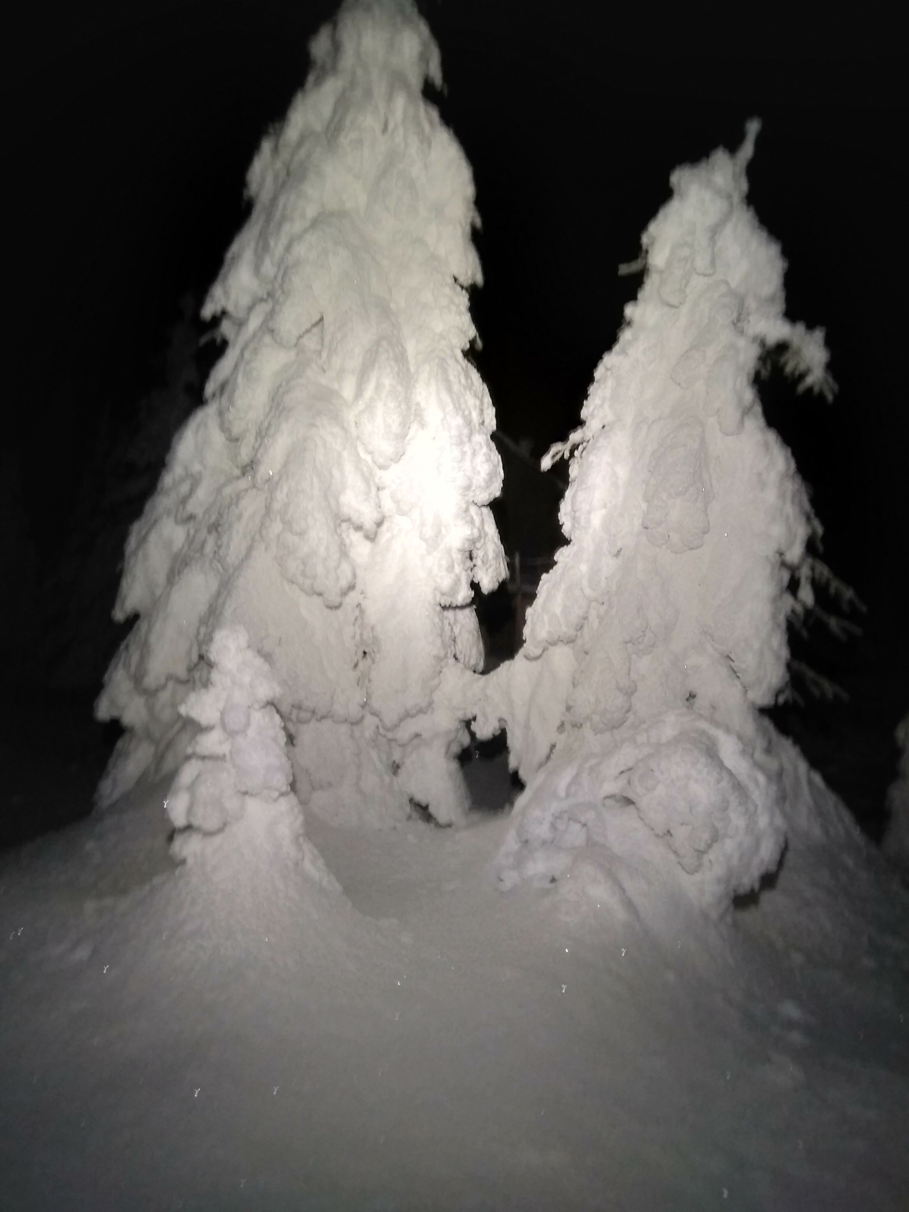 IMG_20210110_002820.jpg