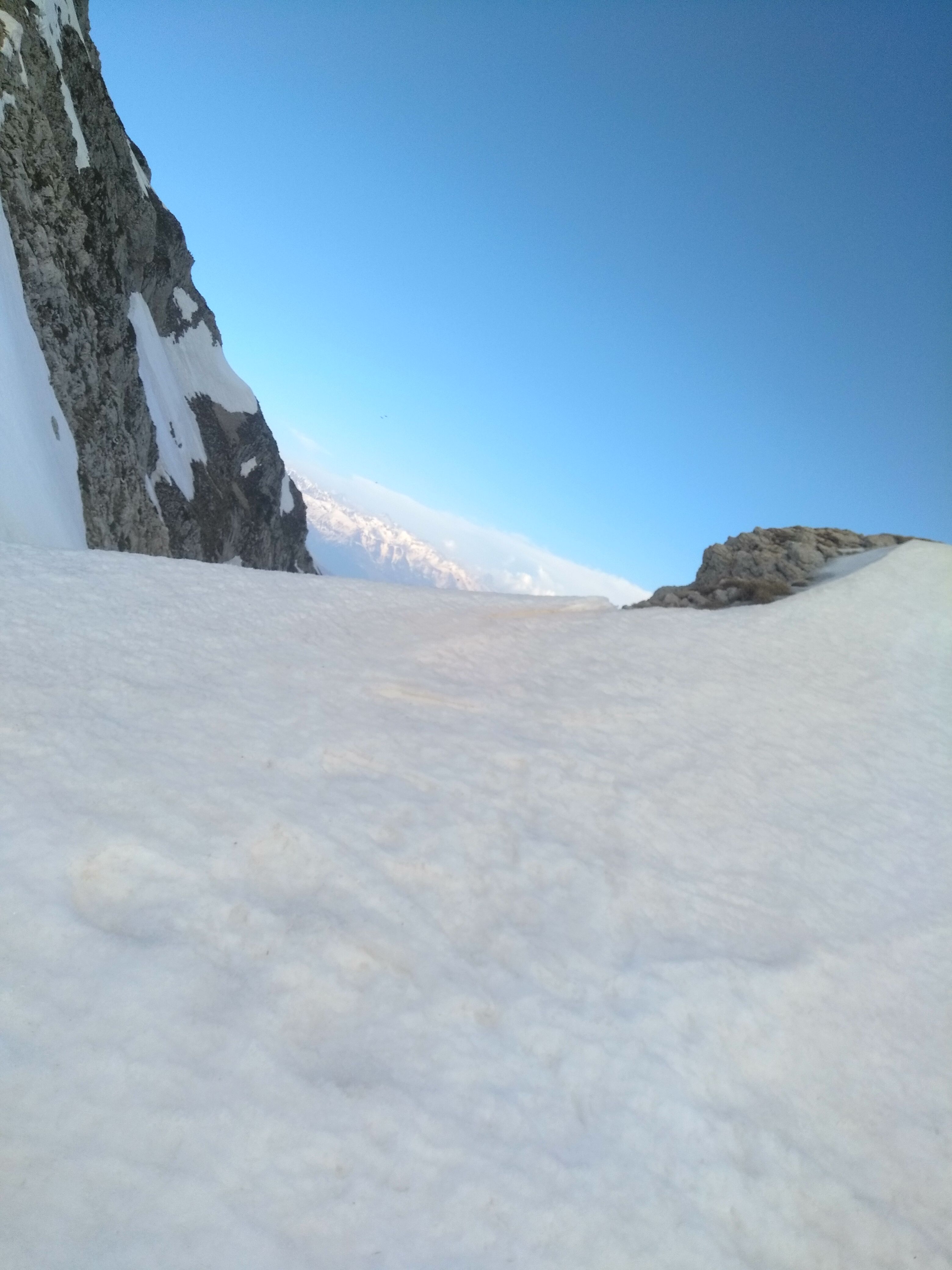IMG_20210403_174957.jpg