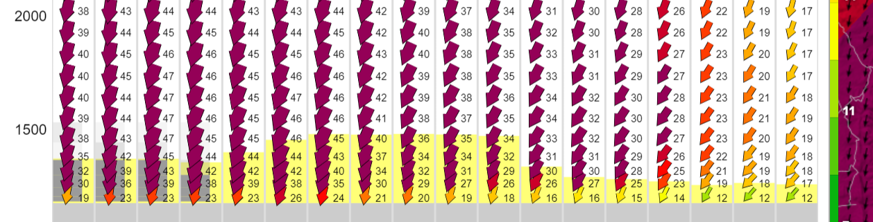 93e0d6a1-0675-40f6-a40d-79e8b4ff9371-image.png