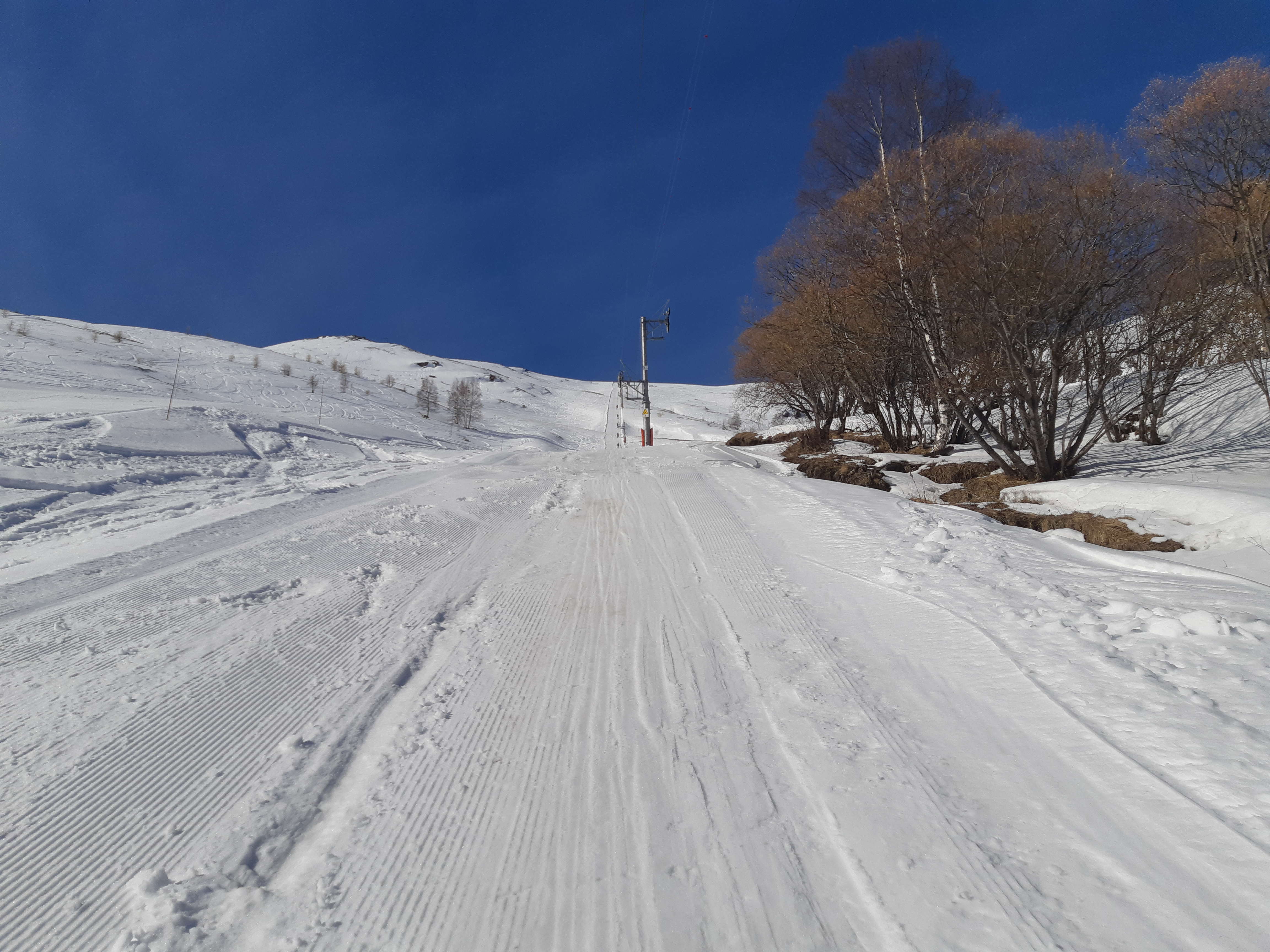 20190317_100703.jpg