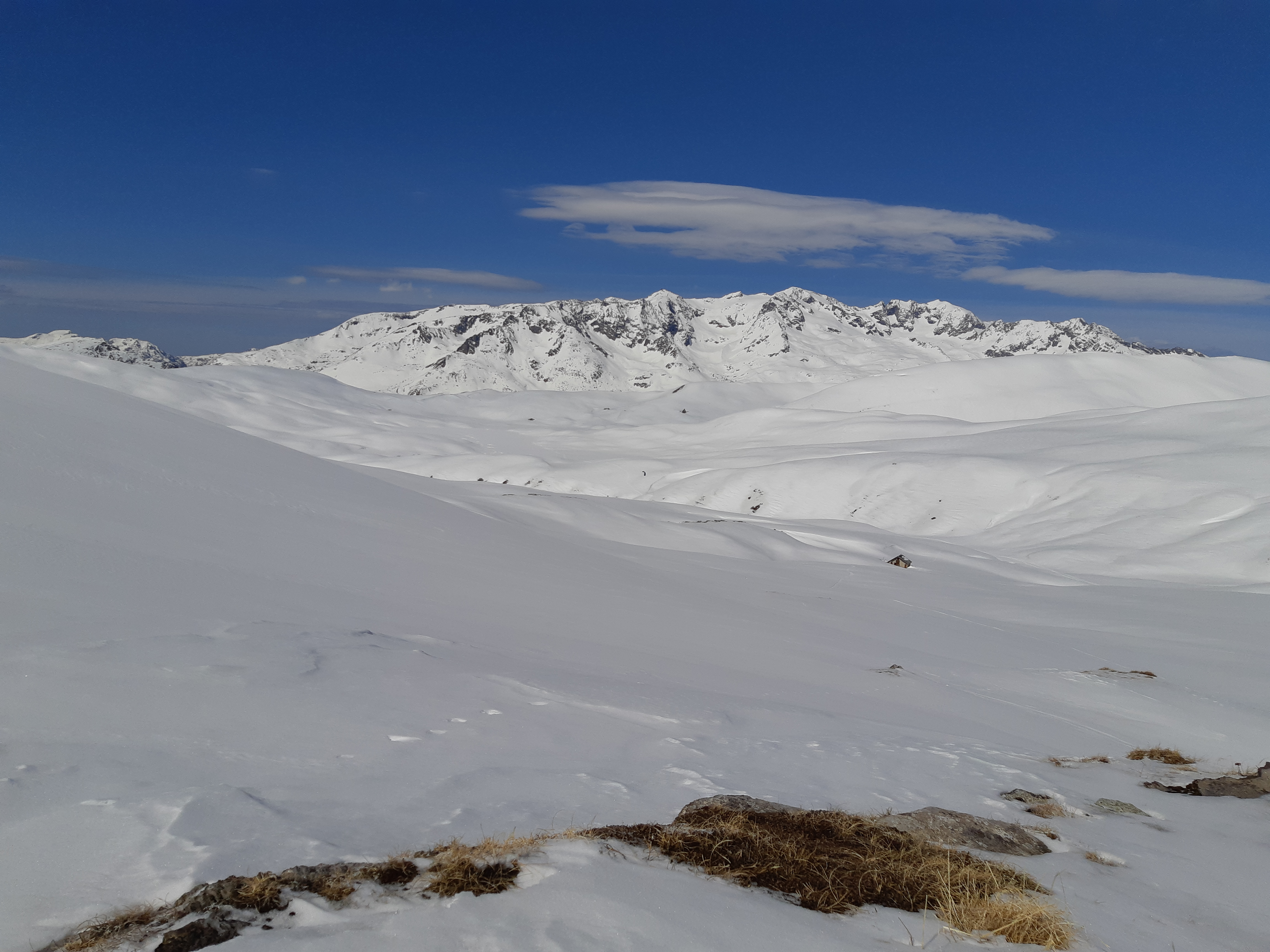 20190317_115256.jpg