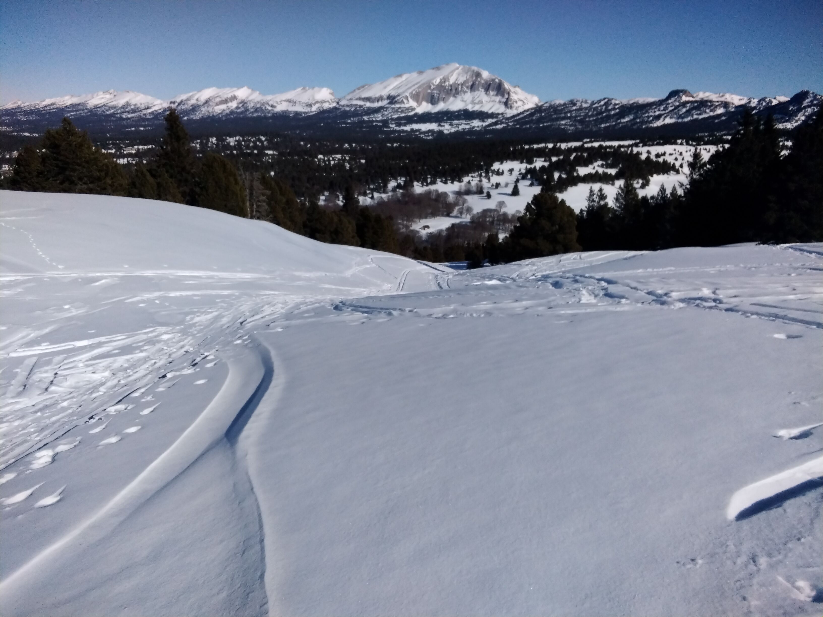 IMG_20220125_132744.jpg