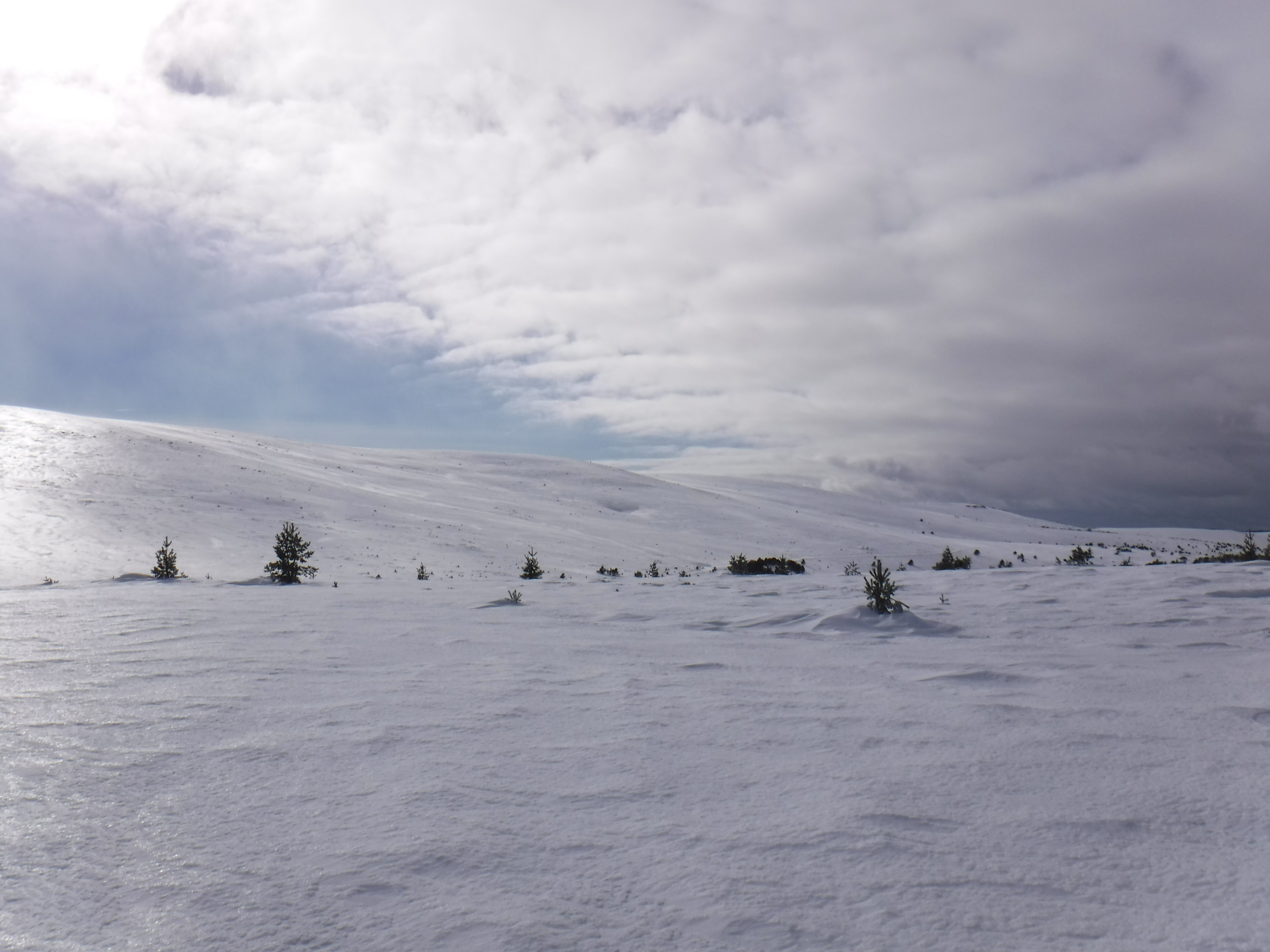 DSCF3172.JPG