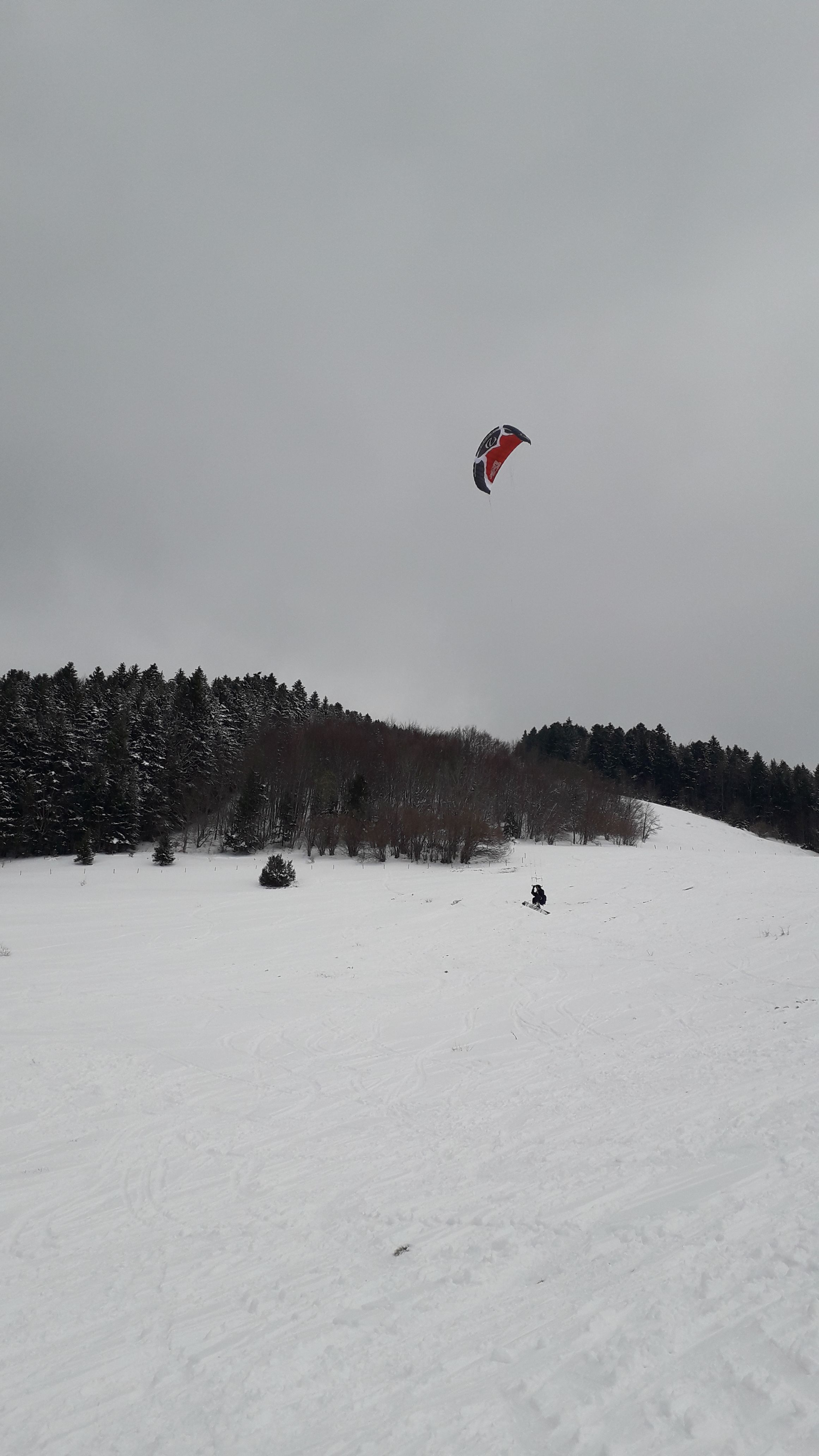 20220403_163251.jpg