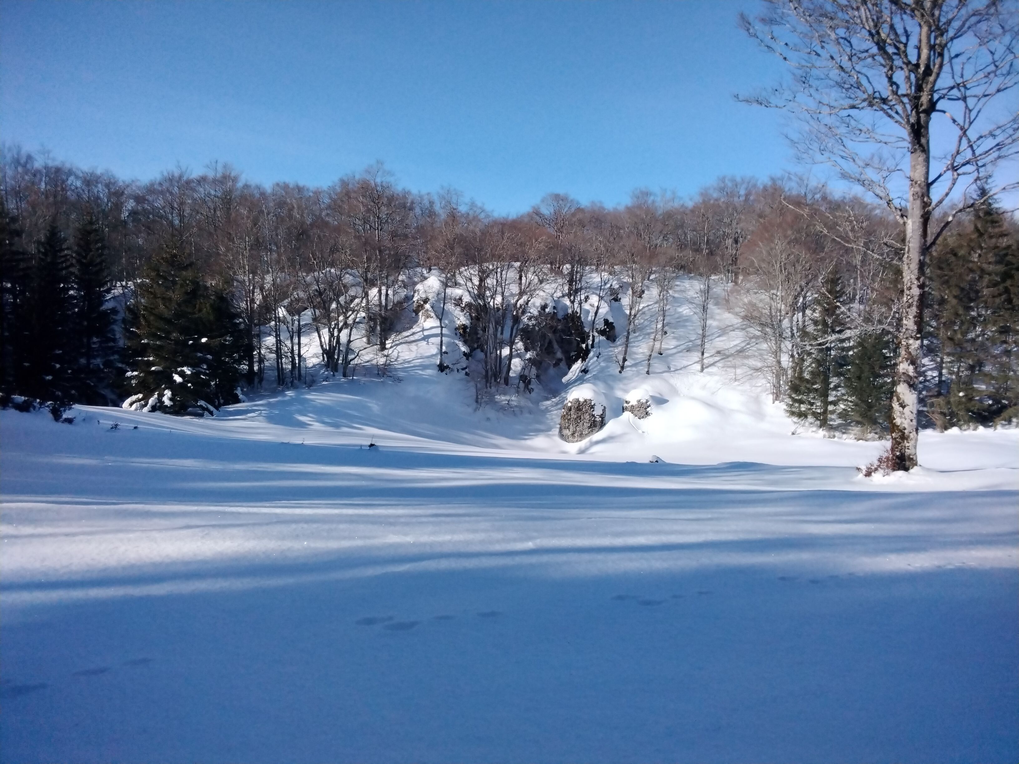 IMG_20211215_131300.jpg