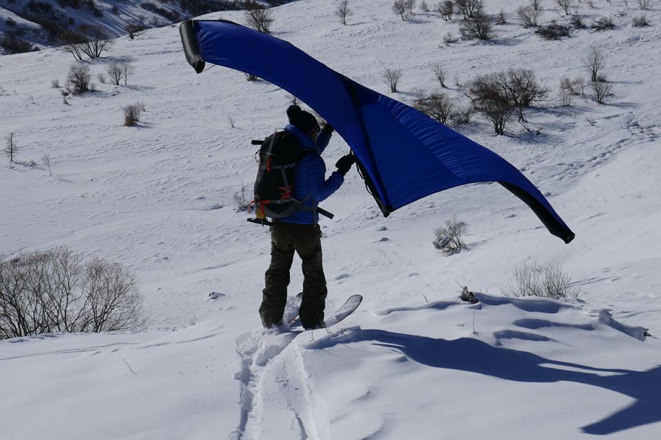 wing snow.jpg
