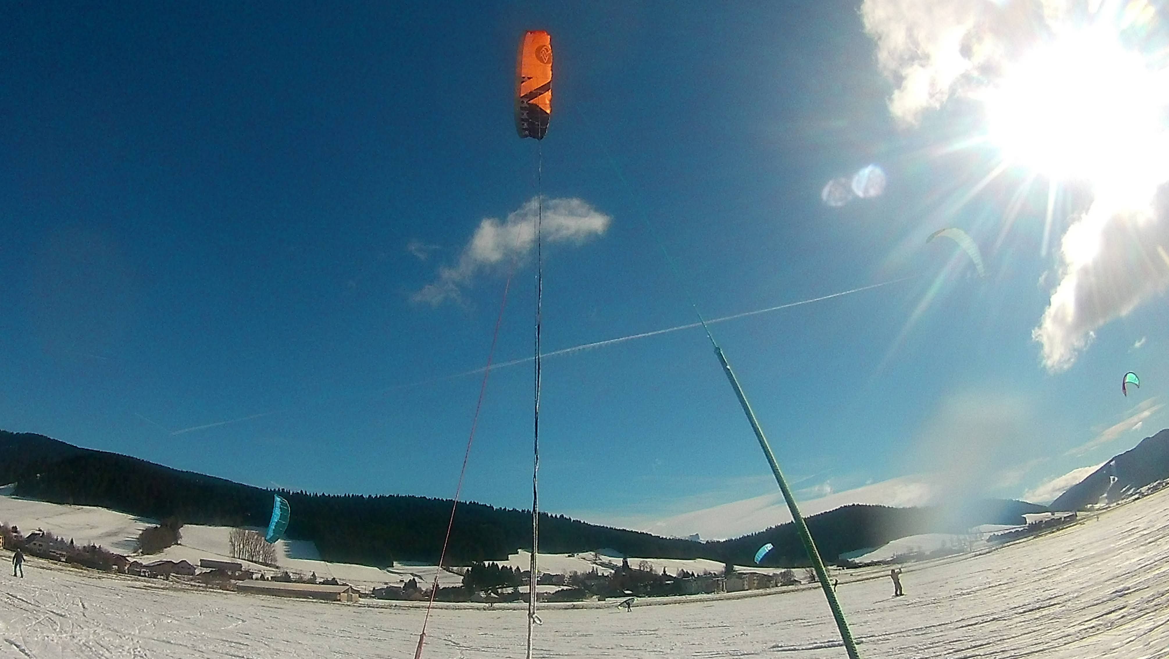 wing_031w.JPG