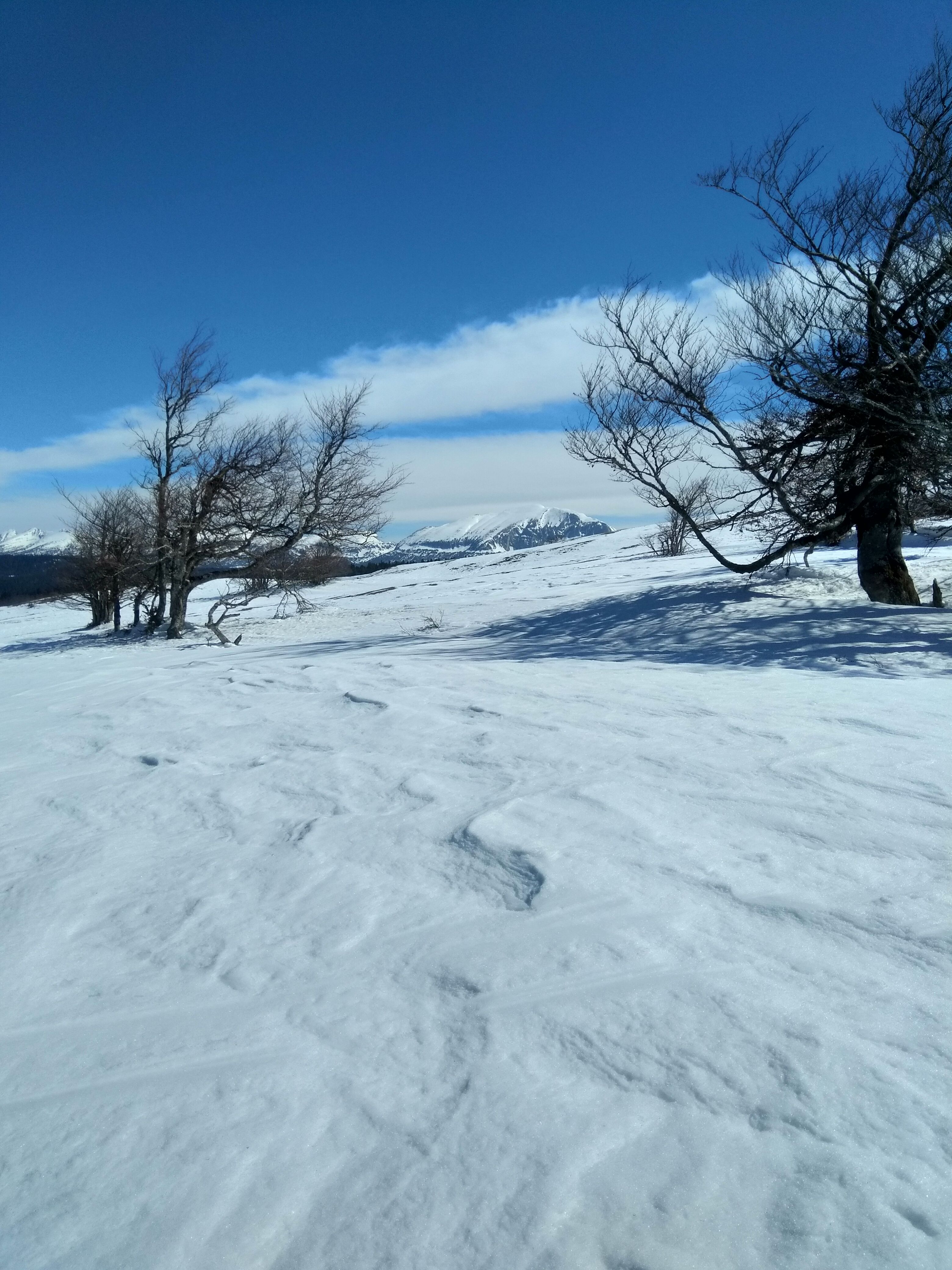 IMG_20210325_112016.jpg