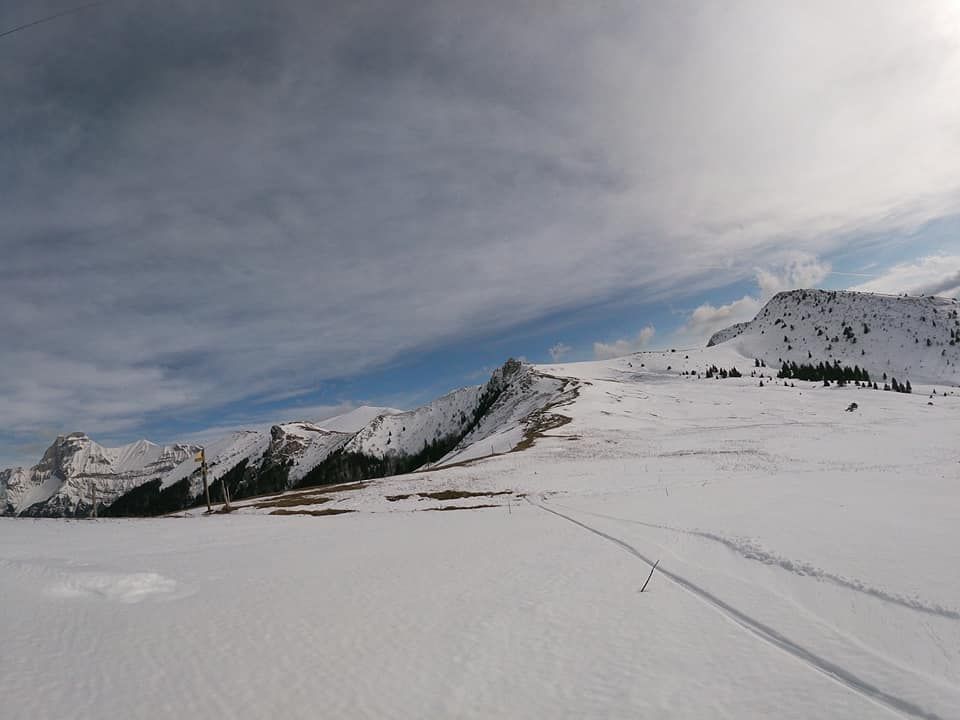 151927939_10220566197848390_5260823255992455863_n.jpg