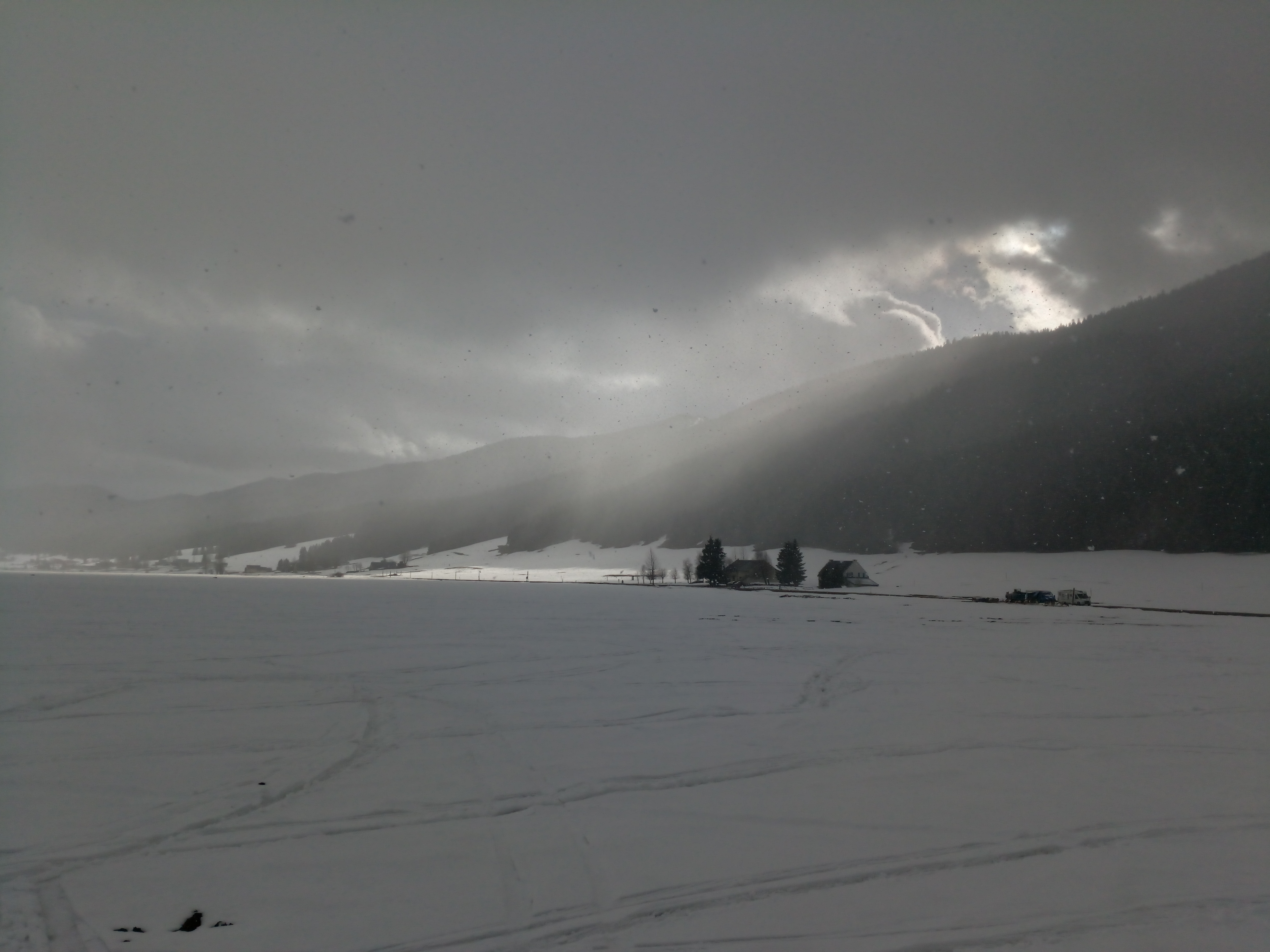 IMG_20190313_165232[1].jpg