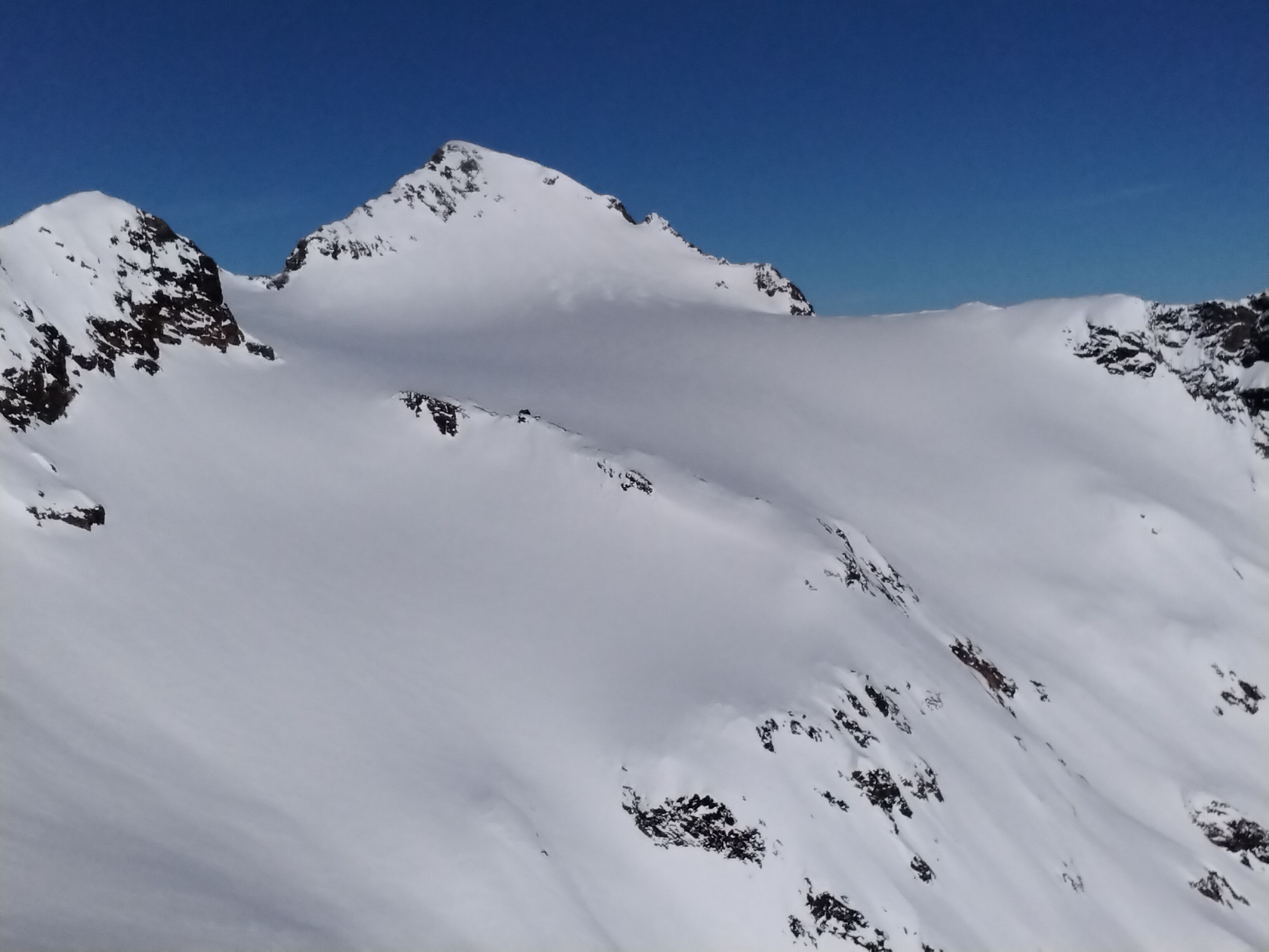 IMG_20220112_131544.jpg