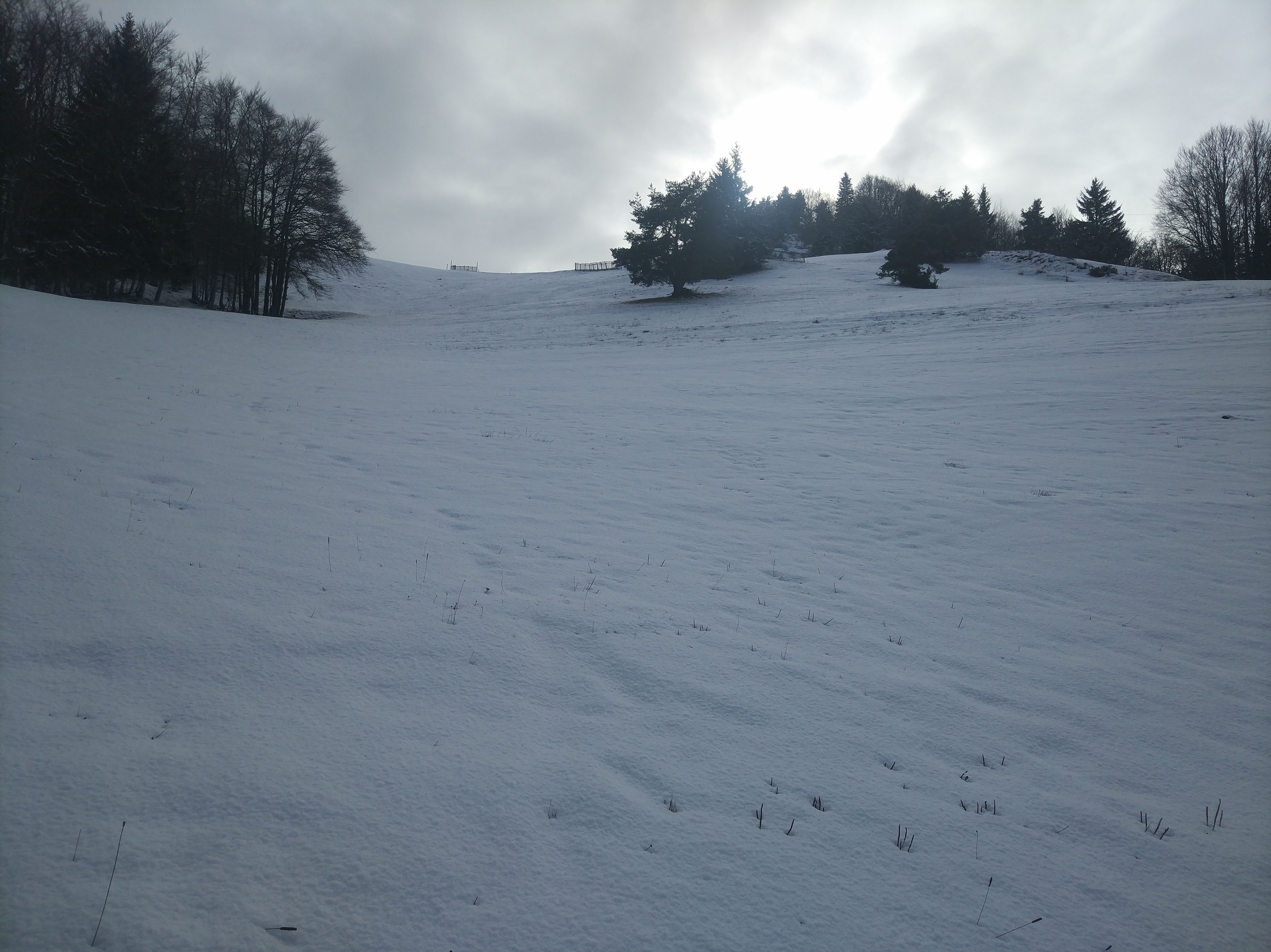 IMG_20200129_135415.jpg