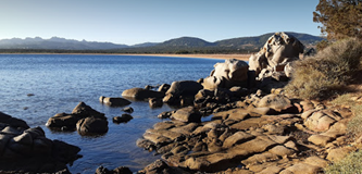 091f703c-3872-4a56-8d0a-45353d67e68a-image.png