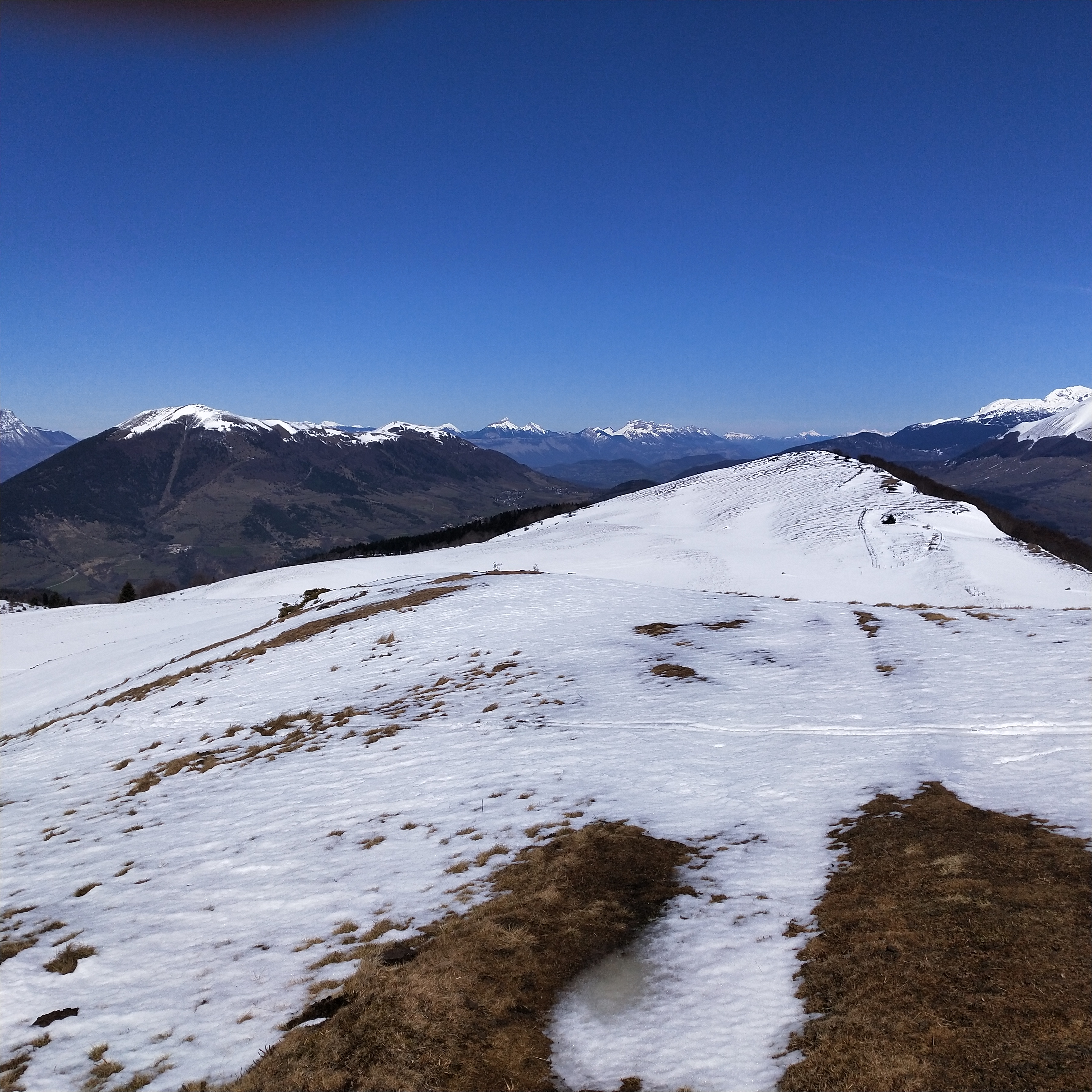 IMG20190316124736.jpg